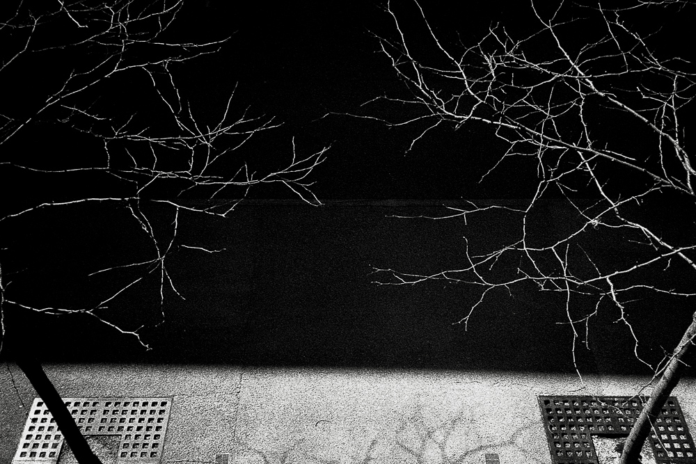 Longwood, Boston, 4/2020