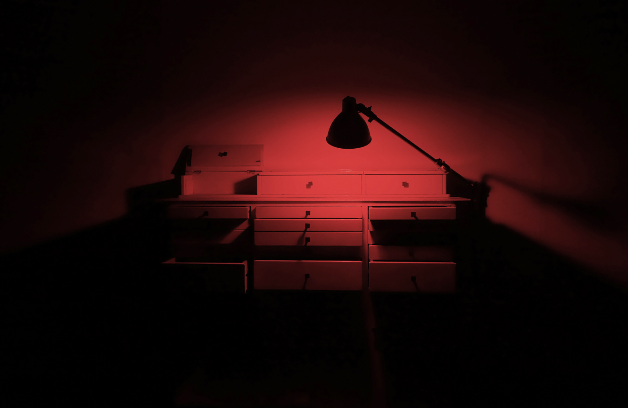 2015 | Fondo Nacional de las Artes