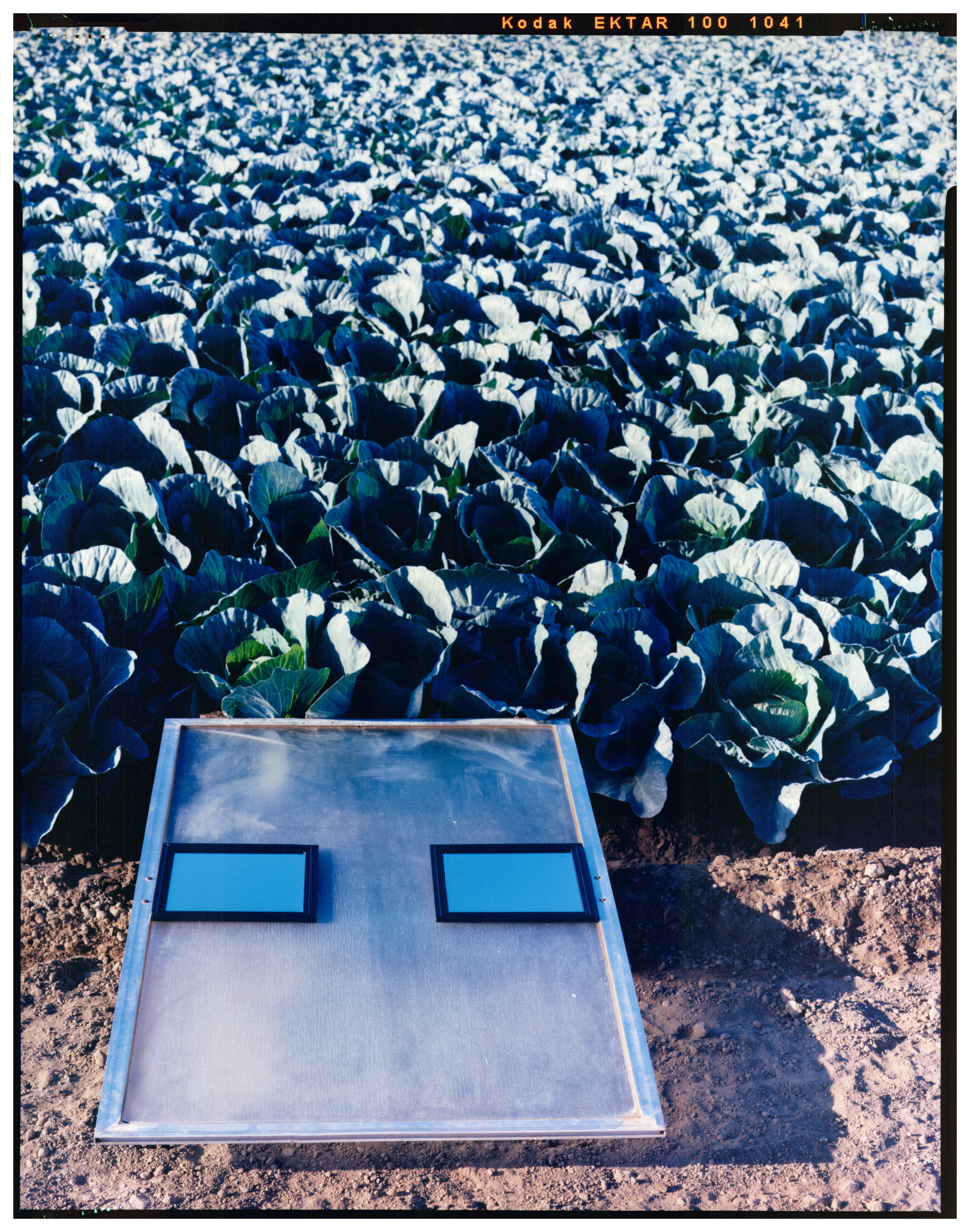 She Creates Her Own, Highly Individual Landscapes, 2014Luster RA-4 paperEdition of 7 plus 3 AP17.82 x 22.77 in.45.26 x 57.84 cm