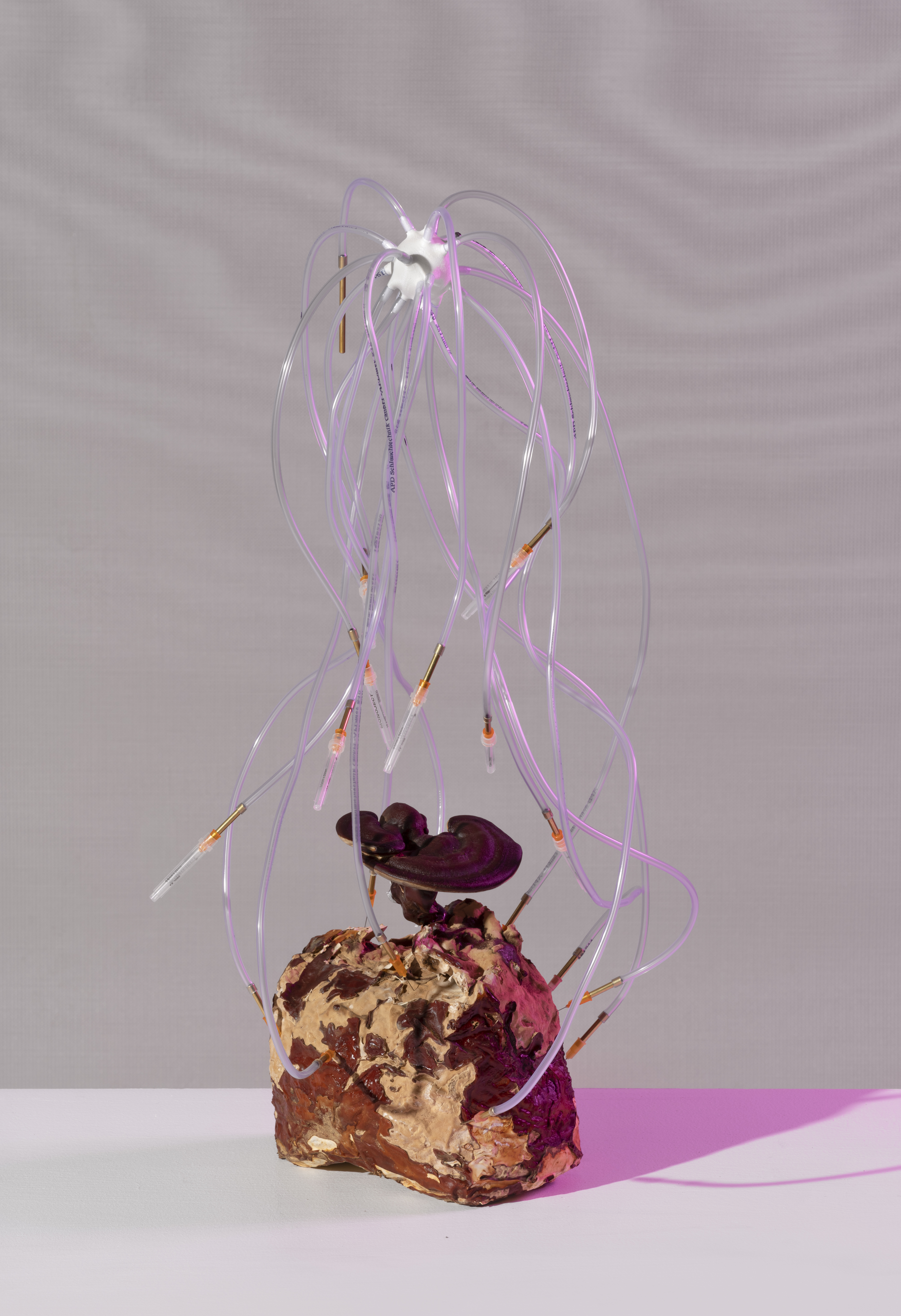 The purpose of the project was to present the innovative power of interdisciplinary collaborations. Using ‘design thinking’ as a method and a form of metabolic process', wherein industrial leftovers are treated and valued as raw materials.