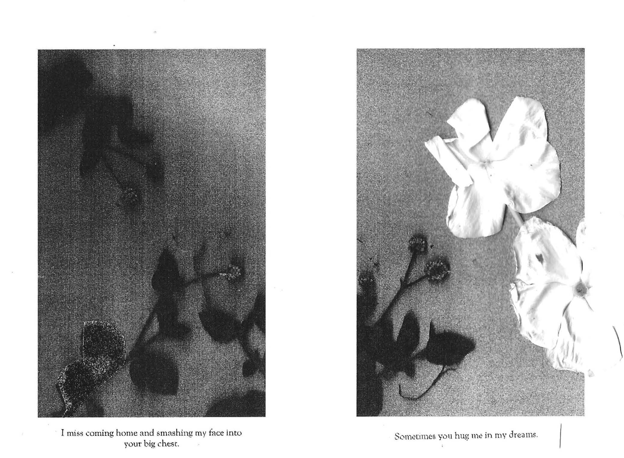 RUDERAL SPECIES — Makena Janssen