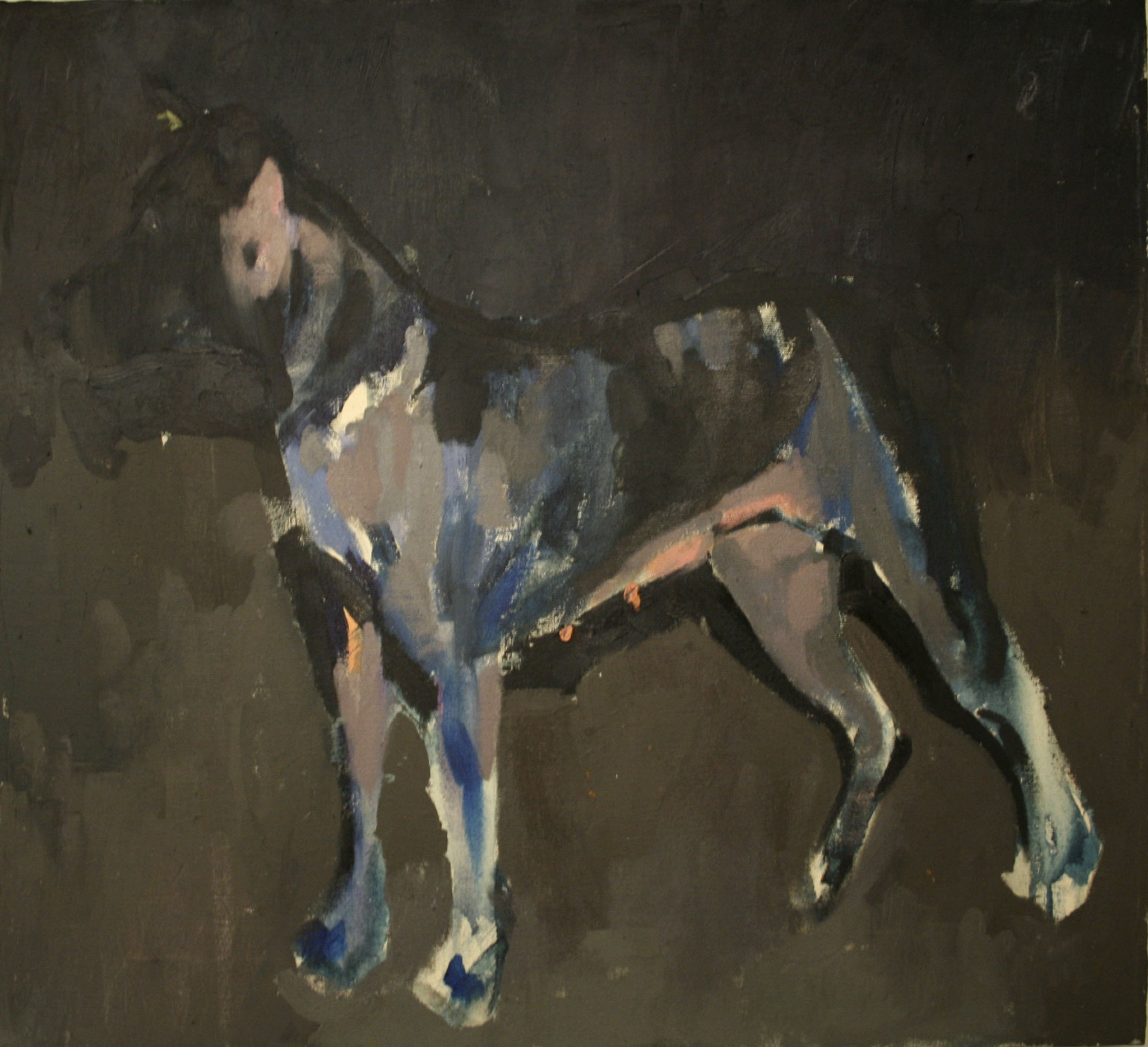 Nico / oil on canvas / 2011