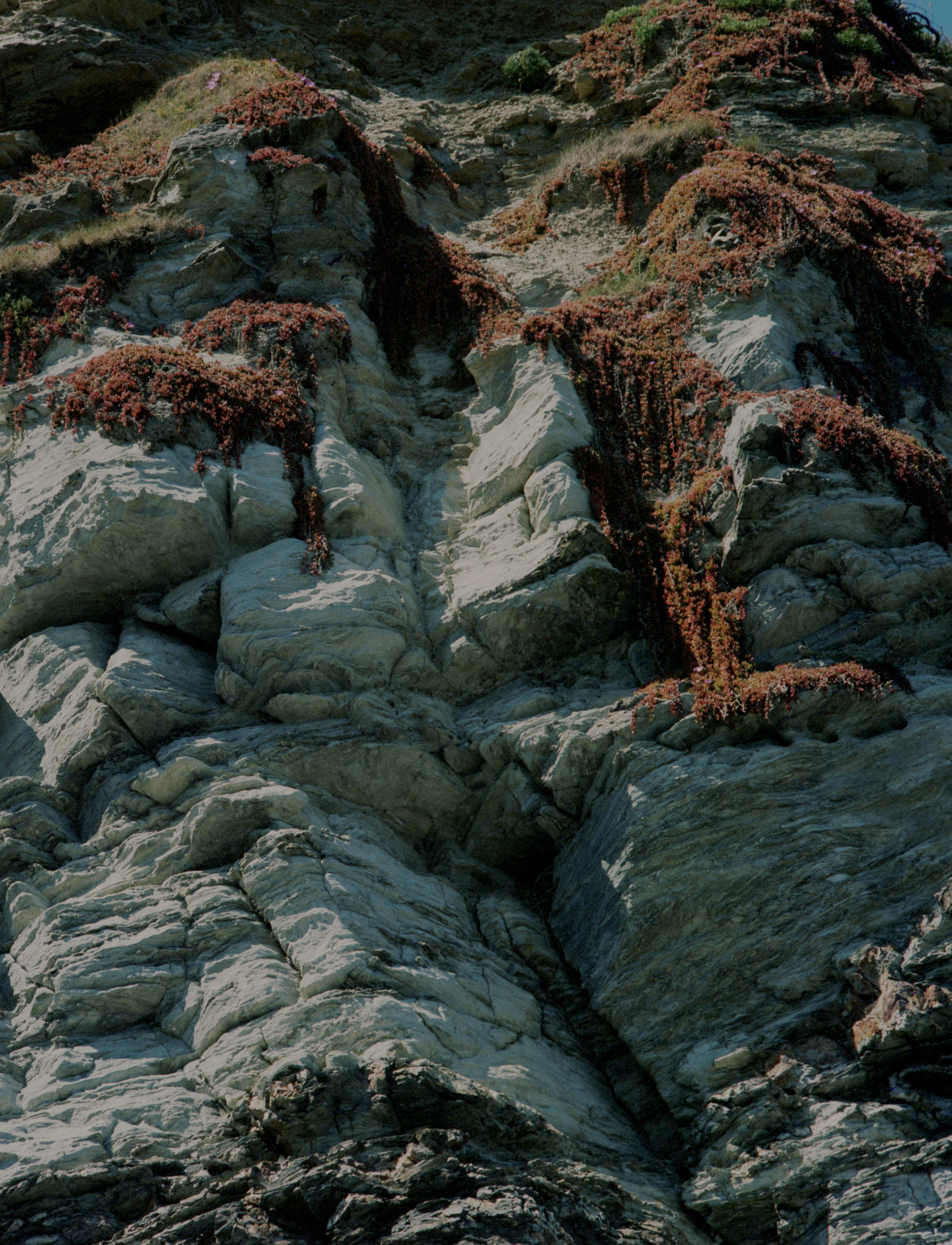 Cornwall, 2017. (9/11)