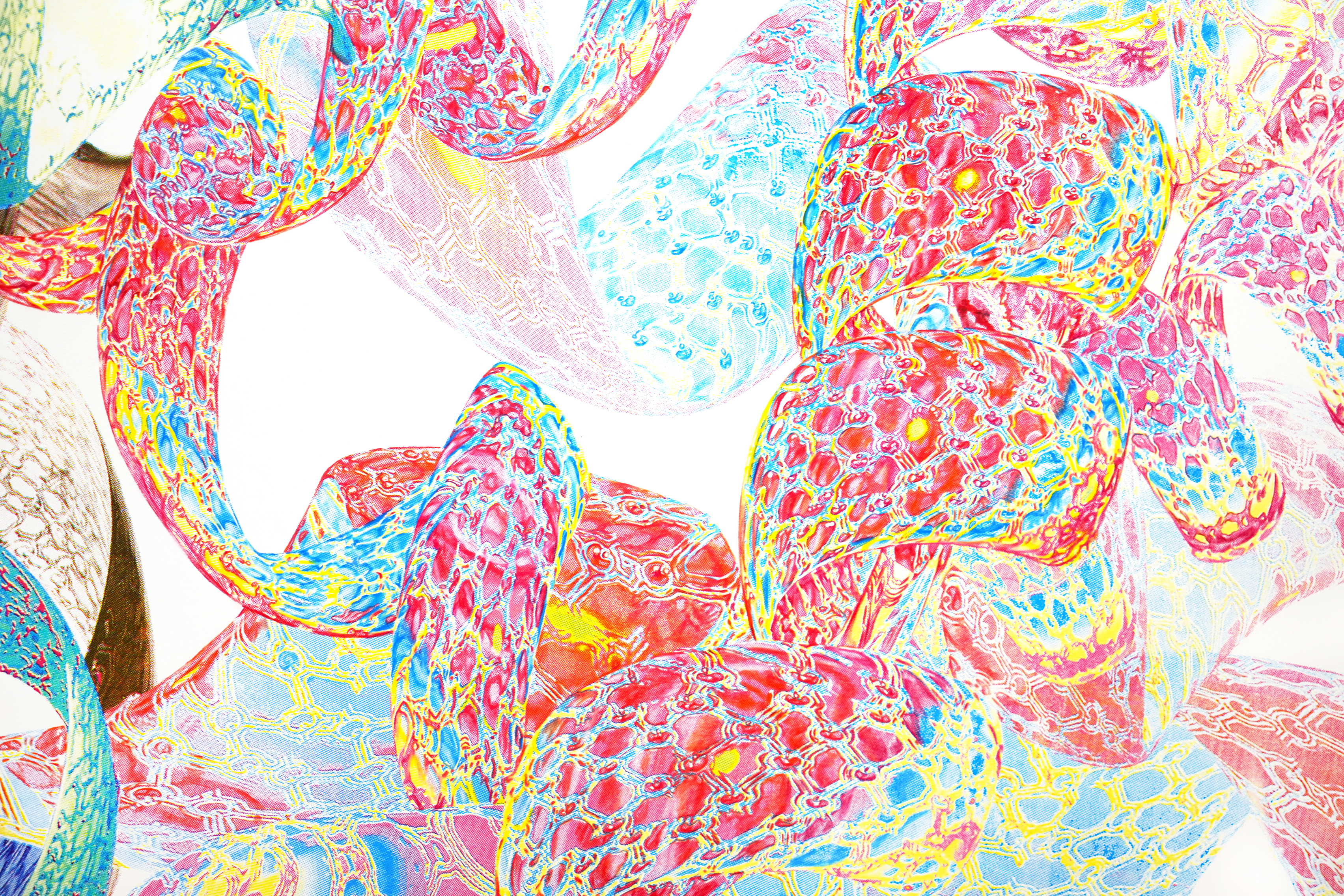 Pearls: Quaternary Structure _Hemoglobin (detail) From the “Pearls” series, 2021, colored pencil on CMYK silkscreen print, 60 x 72 inches / 152.4 x 182.88 cm