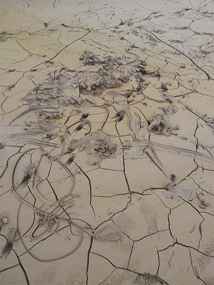 Ephemeral  II, 2016. Drawing on mud, Tumbaya, Jujuy, Argentina