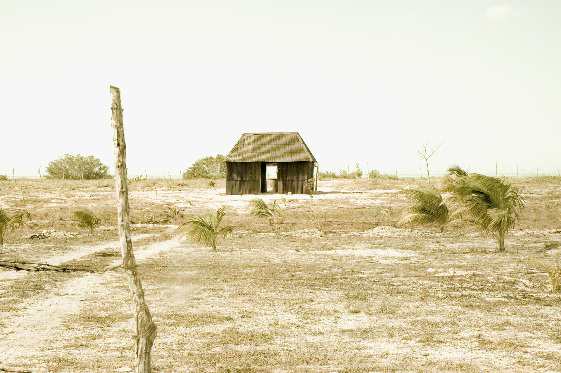 Mexico Hut, 2005