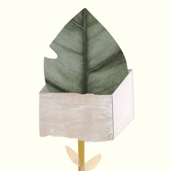 Veronika Lambertucci