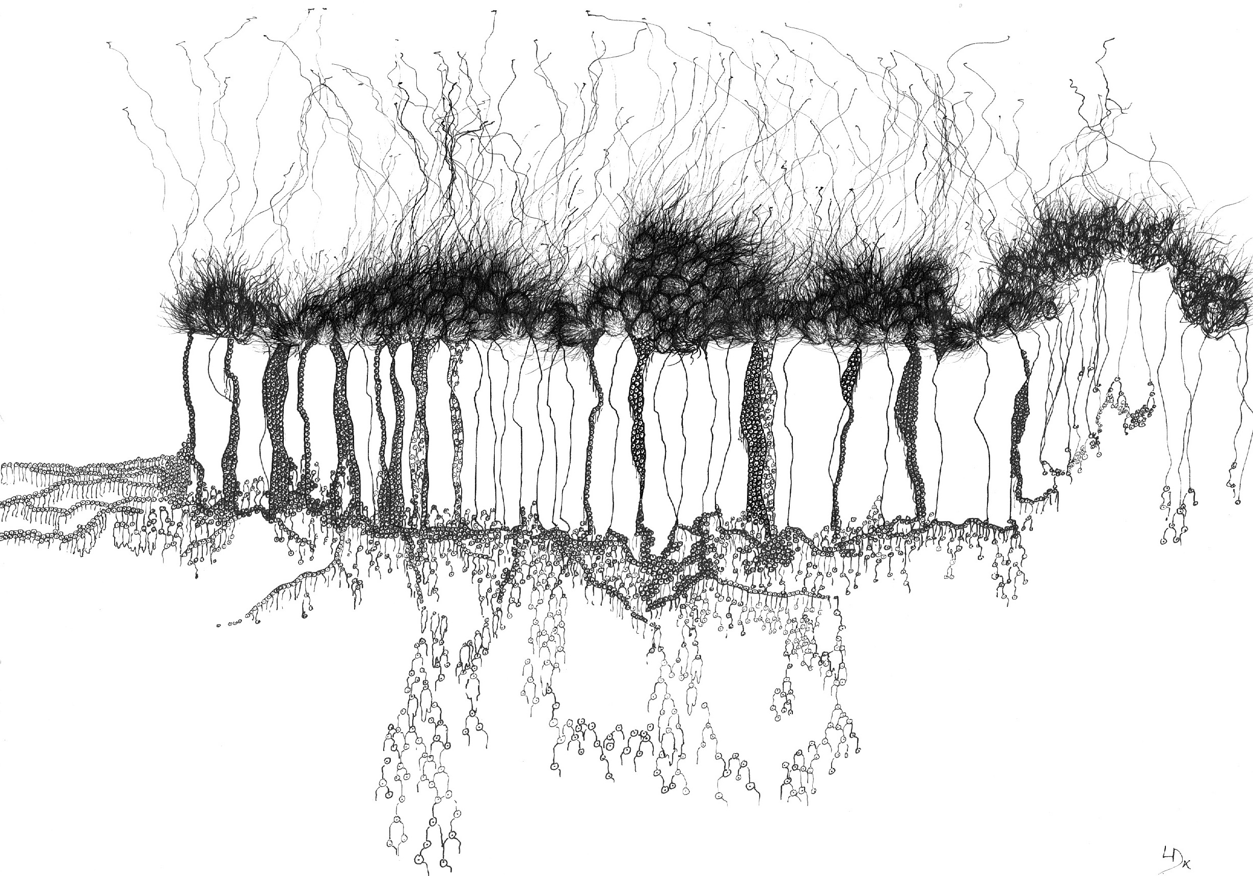 Détéritorialisatiome 1-2012-42X30