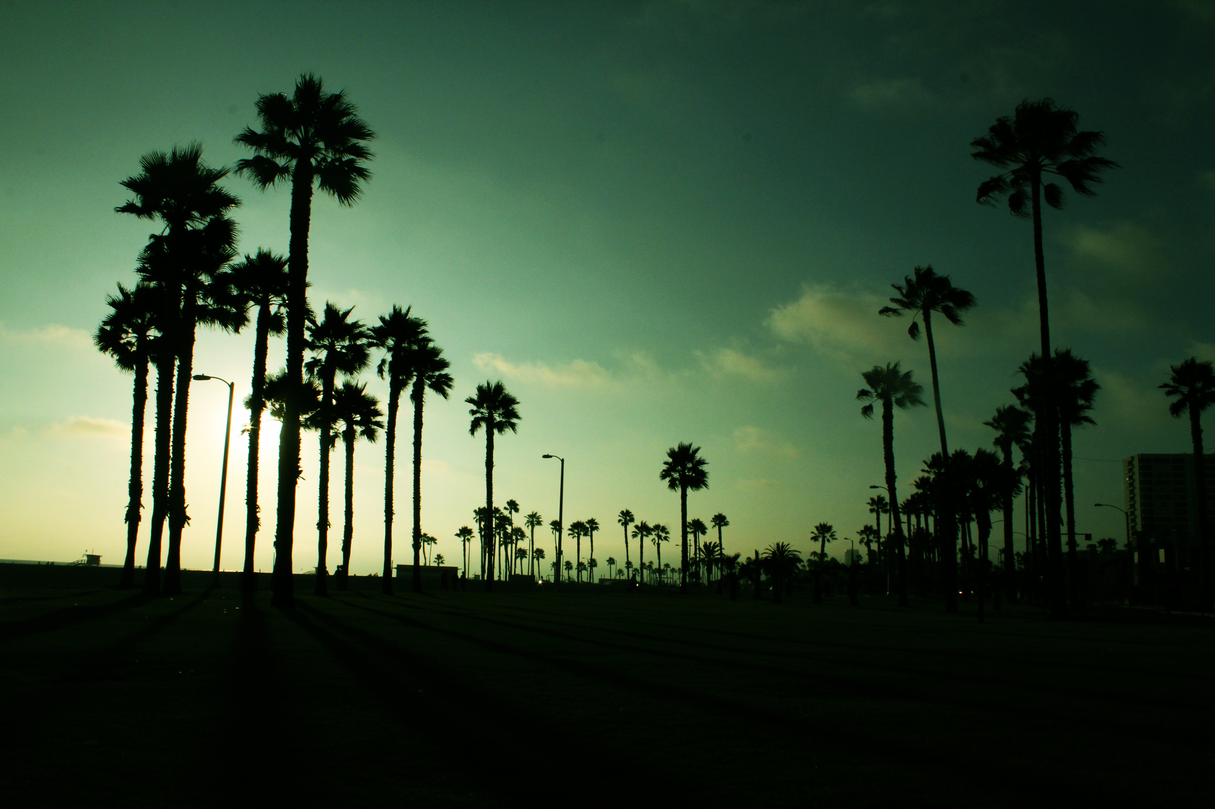 Venice, California, 2011