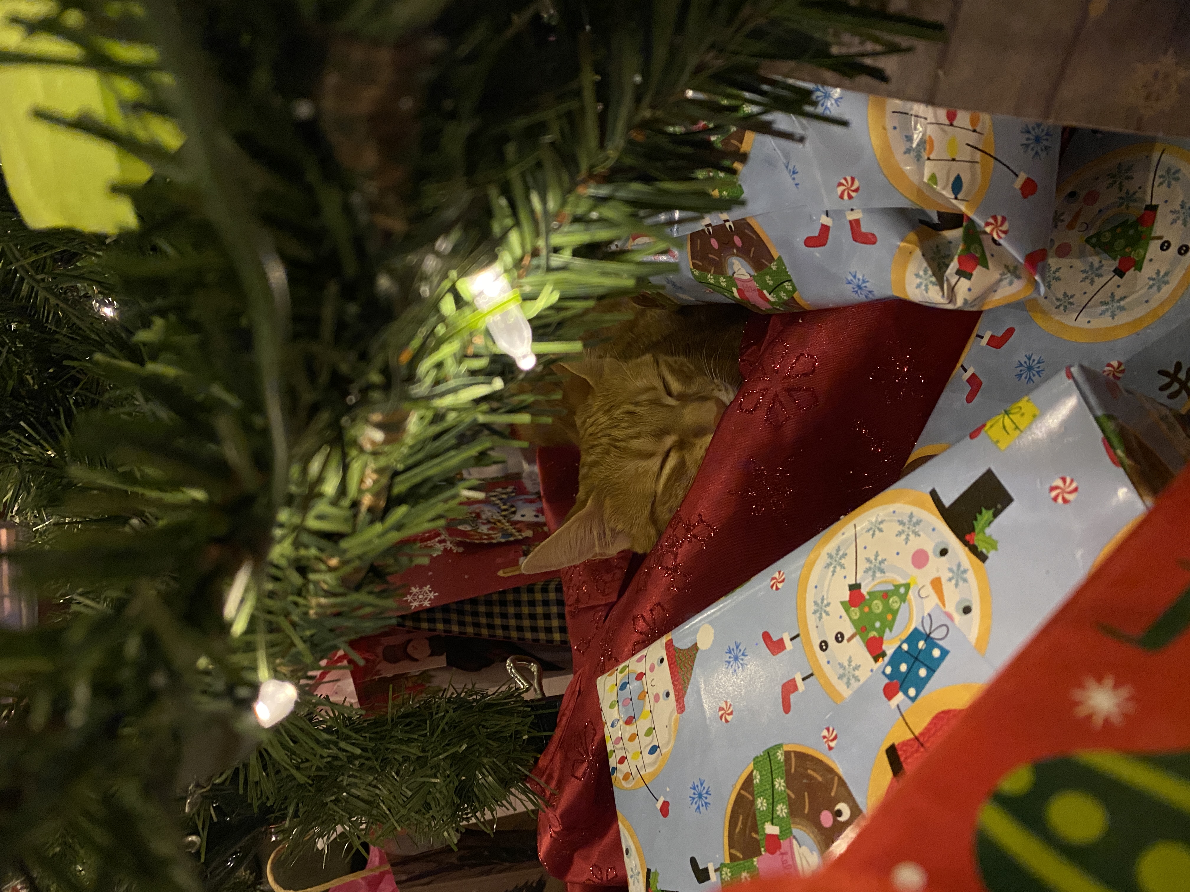 her first christmas, 2021