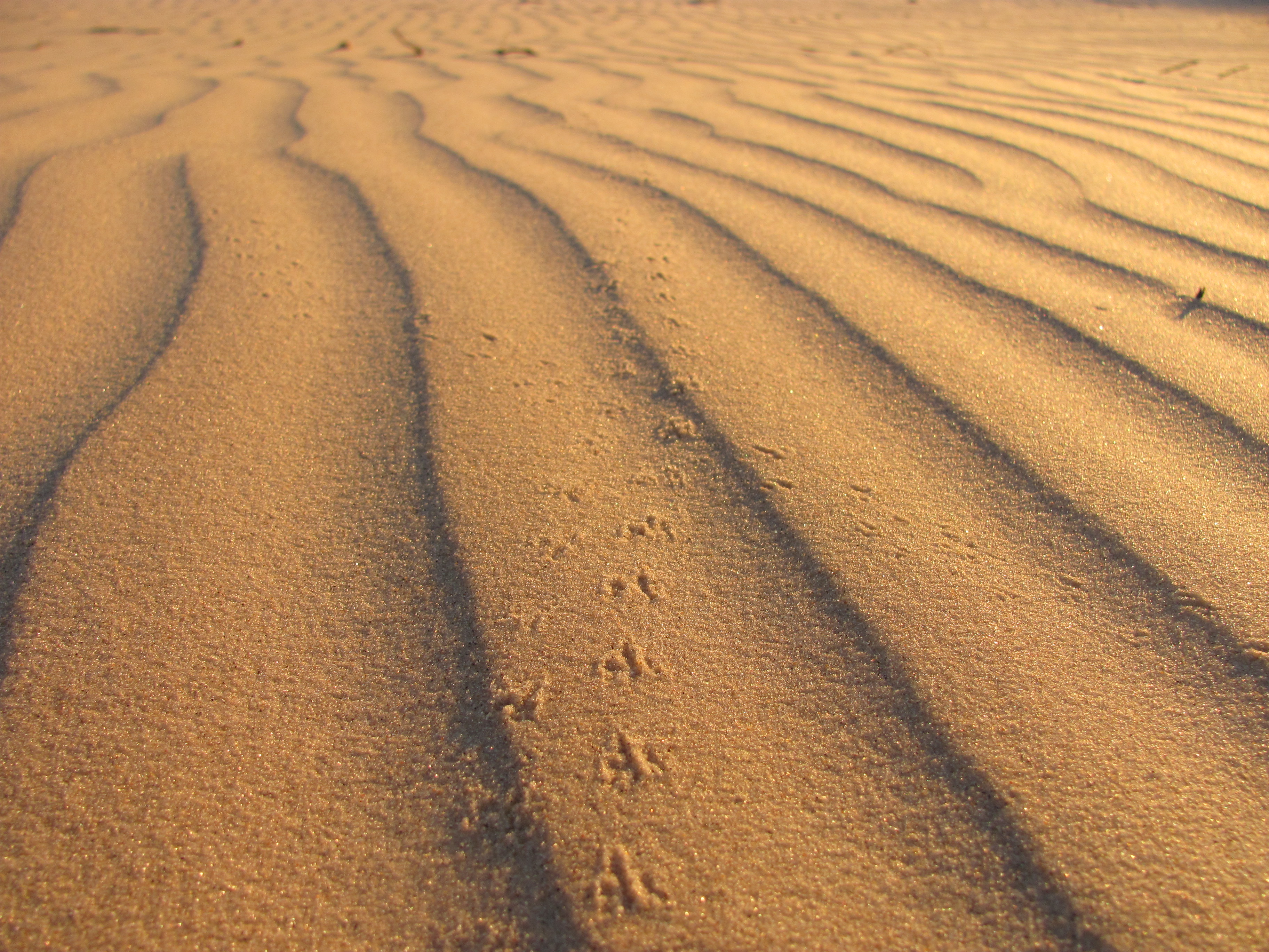 Photo Credit: Matt Fry