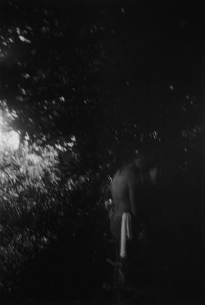 From Landscape Series