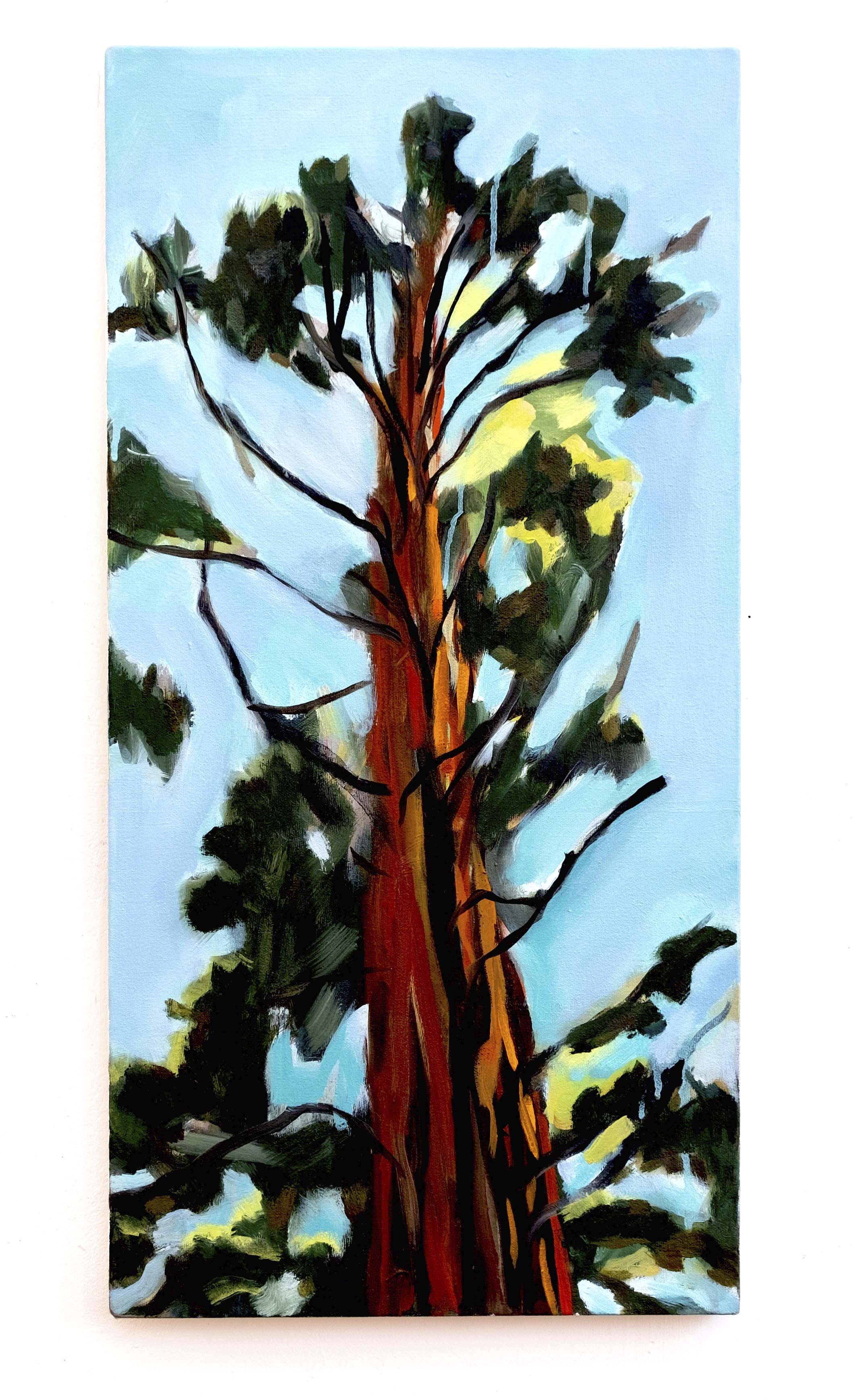 California redwood, Tuolumne Grove, oil on canvas, 24 x 12 inches, 2019