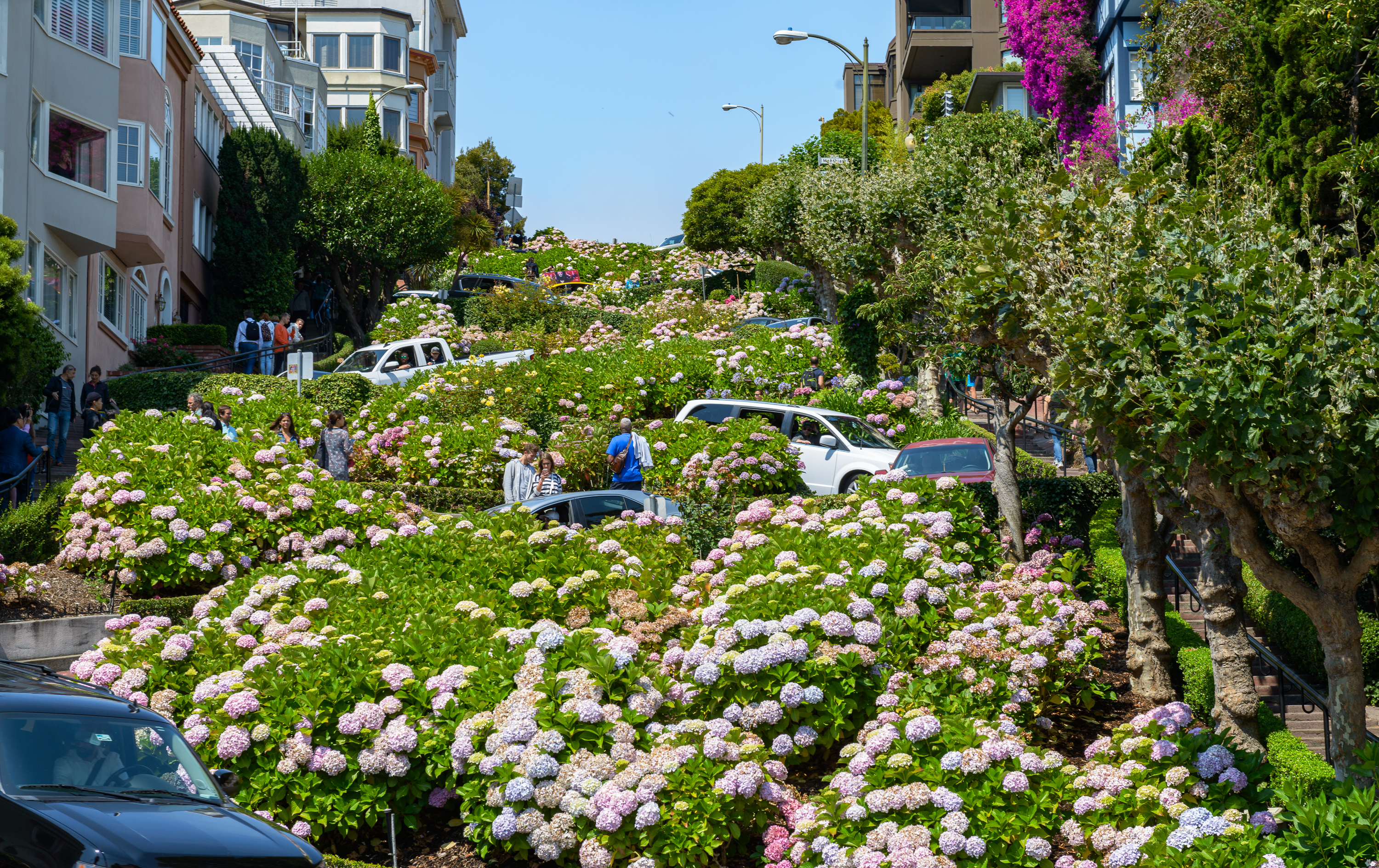 Avec ses 8 virages bordés de fleurs (pente à 27%), Lombard Street dans le quartier de Russian Hill. On pense à Bullit.