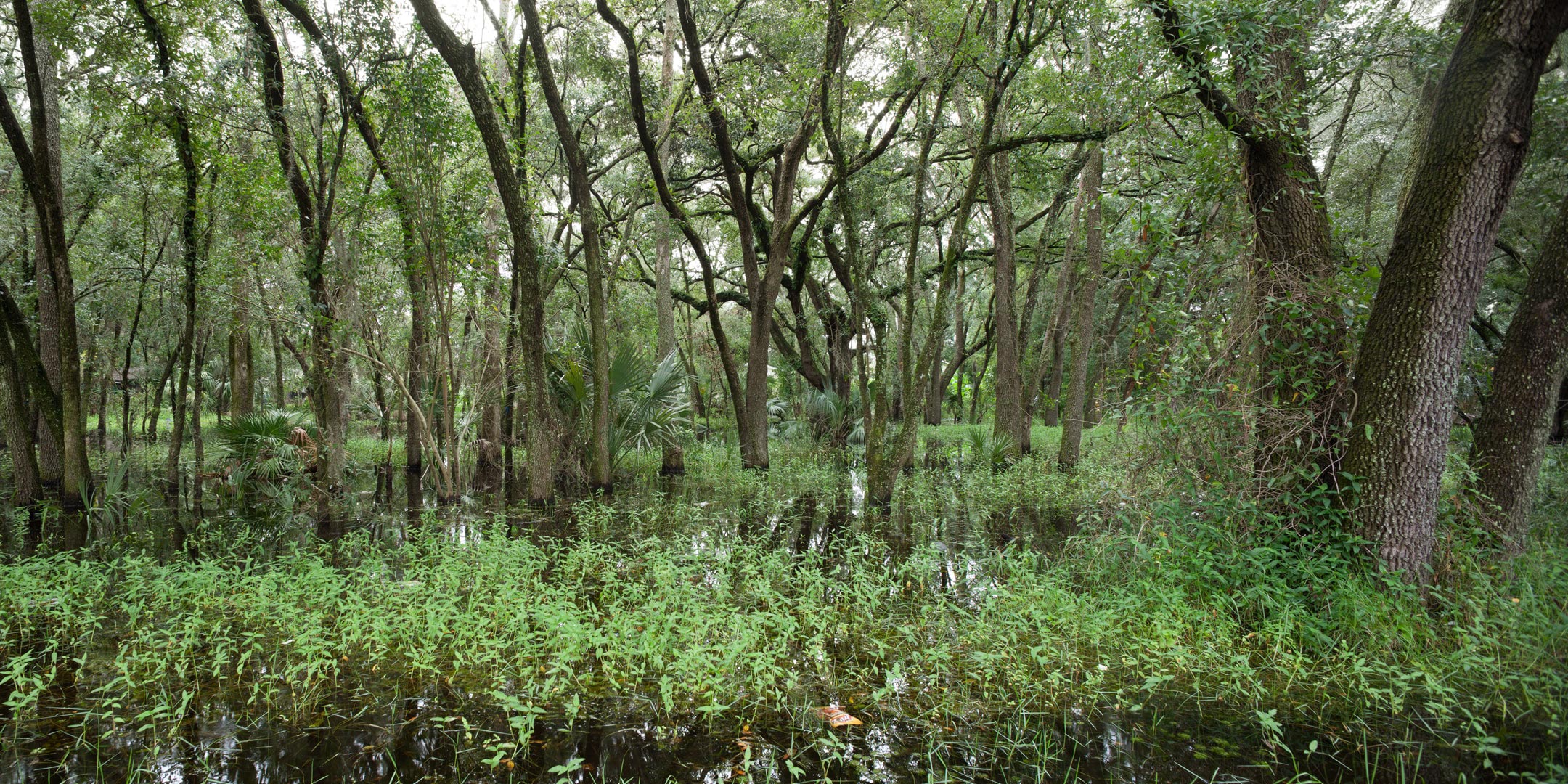 N 12th street (II), 2015