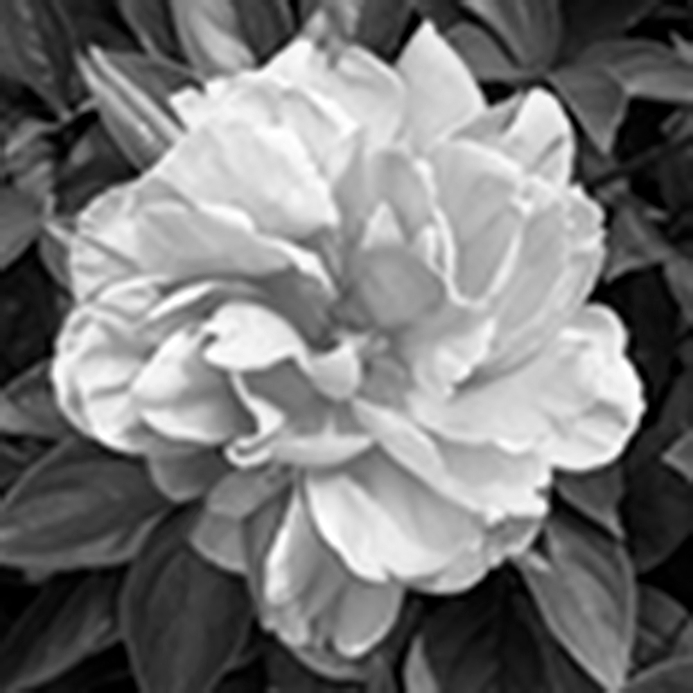 B&W Memory in Low Resolution
