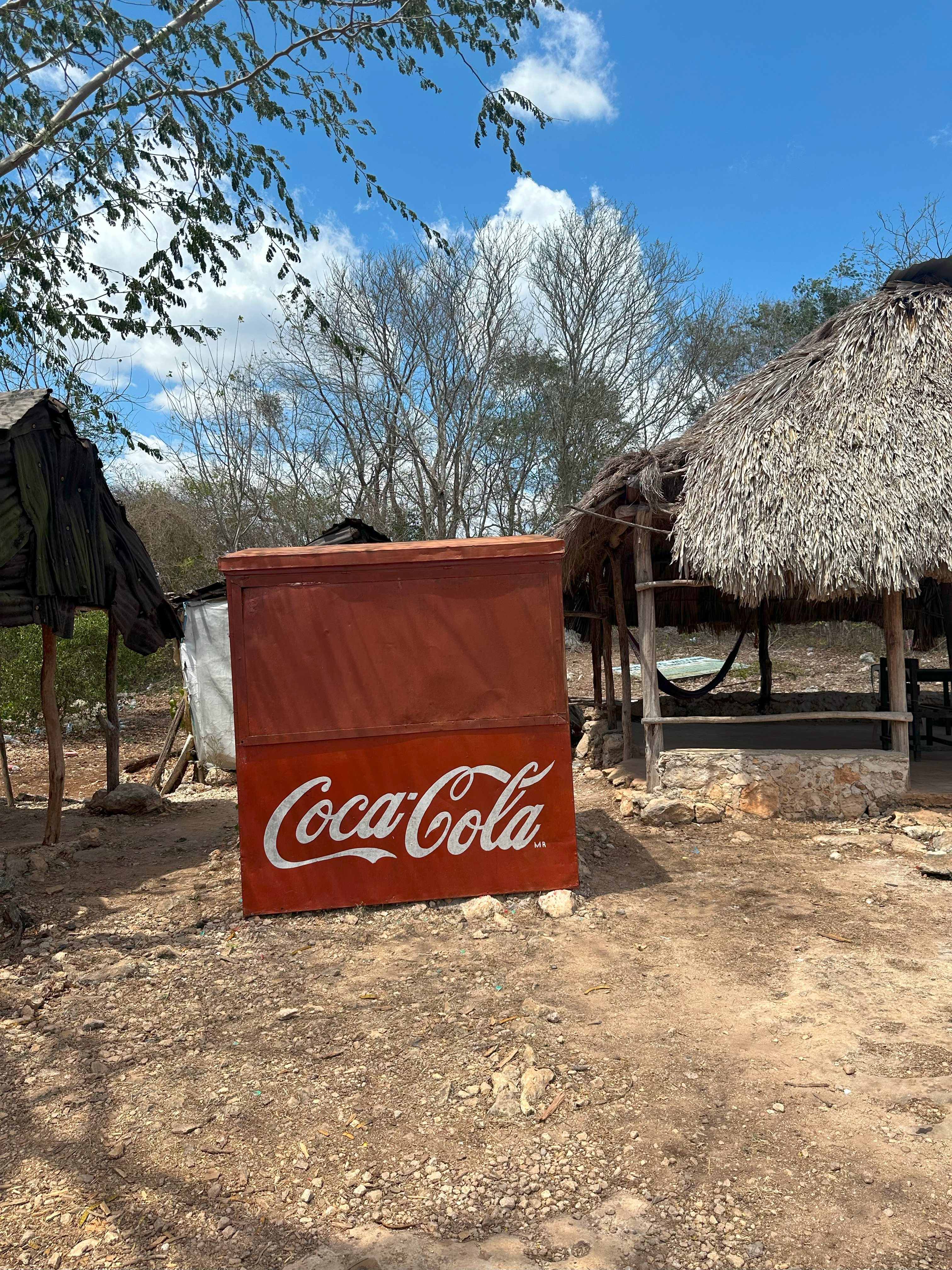 #153_Cuzama, Mexico_Andrea S. Moctezuma