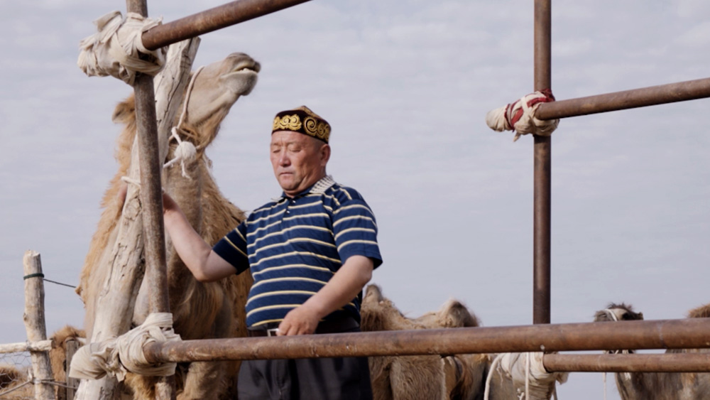 The Camel Milk Mogul