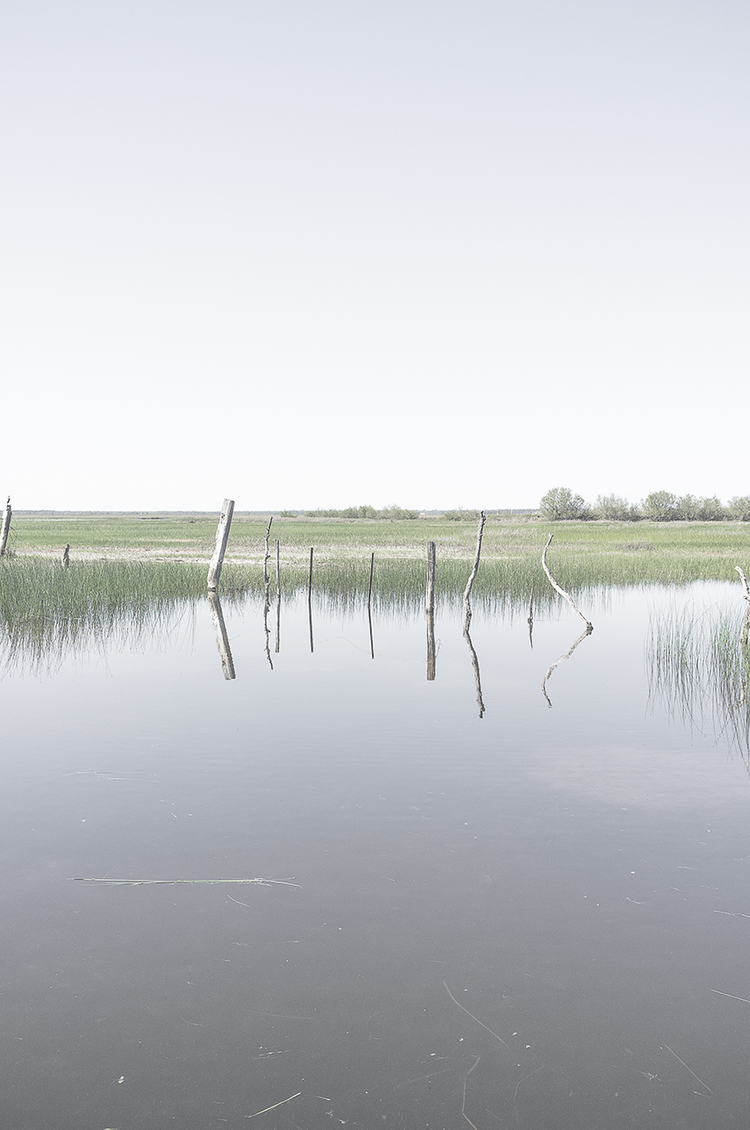 Fotografías de Doñana reflejo marismas paisaje
