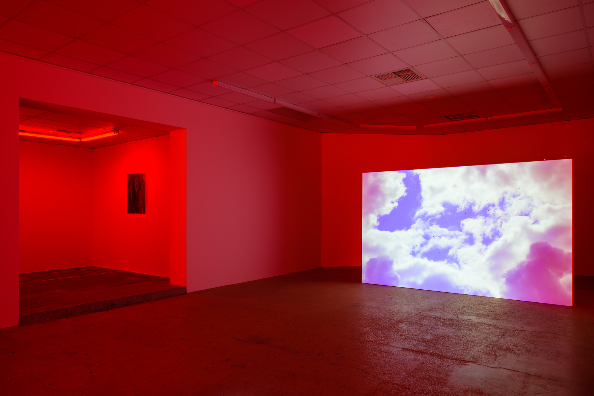 Aaron CV Rees, Firmament, NAP Contemporary, 2022