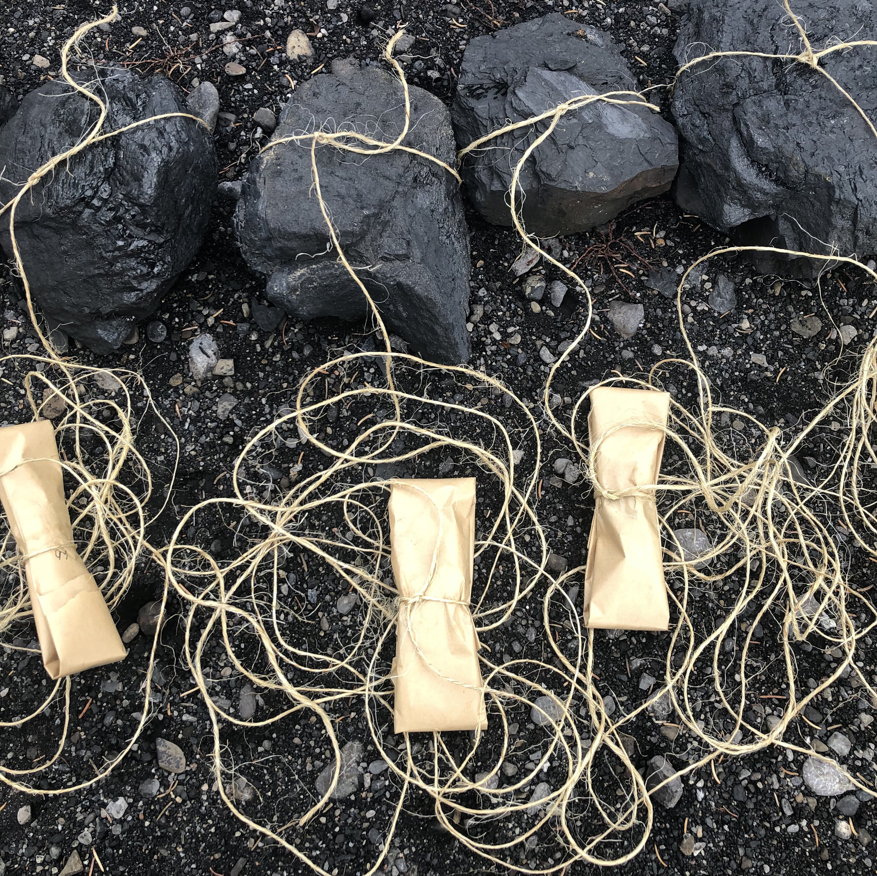 like the wildflowers...