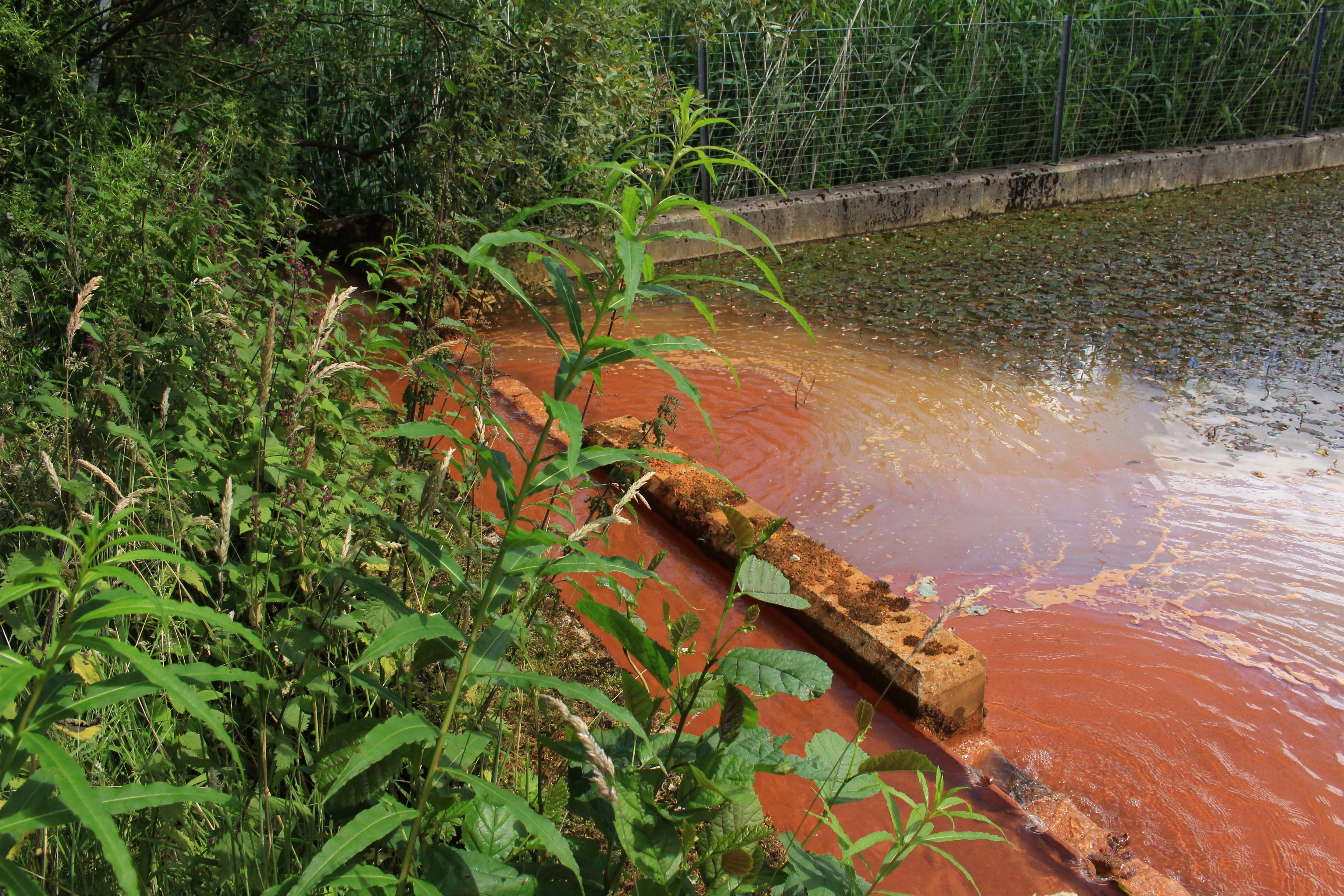 Cuthill ochre lagoon, 2015