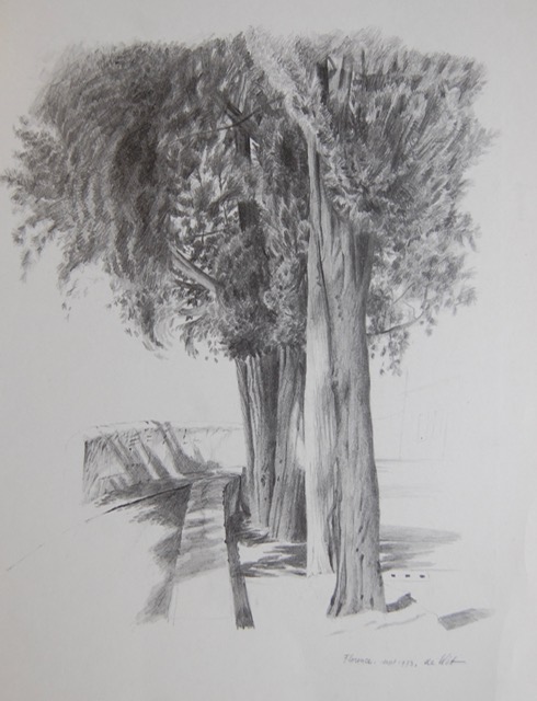 Florence 1973 - pencil 33x25 cm