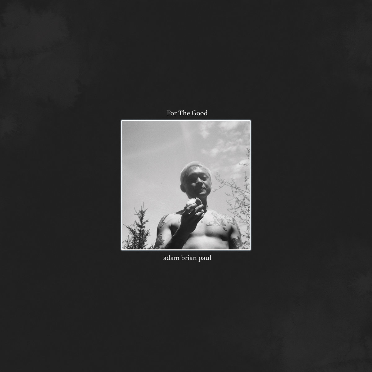 adam brian paul - for the good (Bass, Engineer)