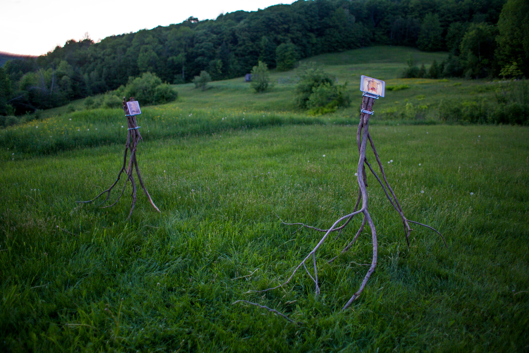 VT Infinity Creeps - 2016Noyes House, Northeast Kingdom, VT