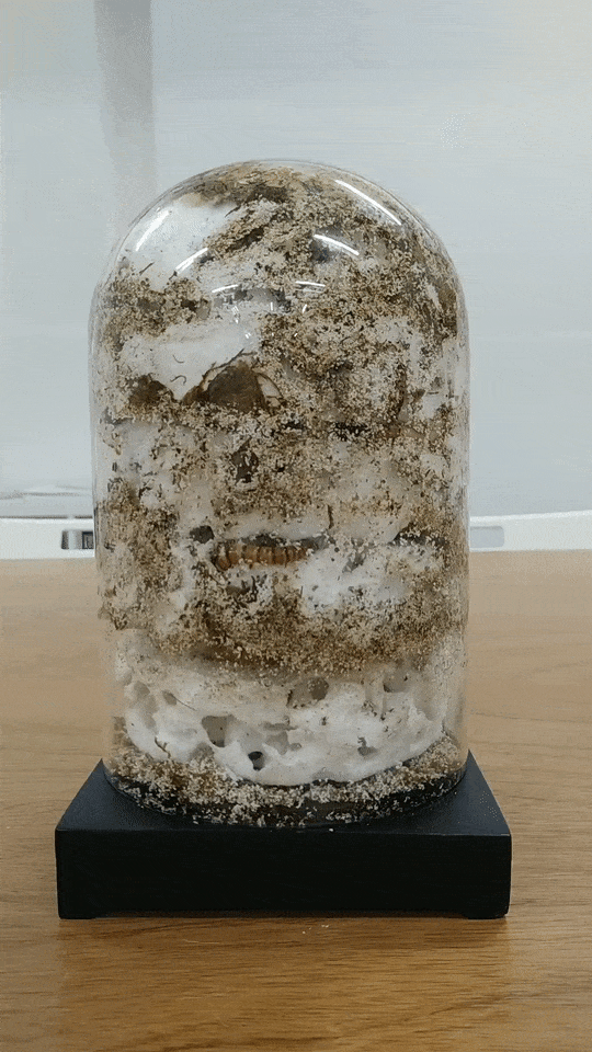 Unmonolith, glass dome with mealworms eating away layers of styrofoam