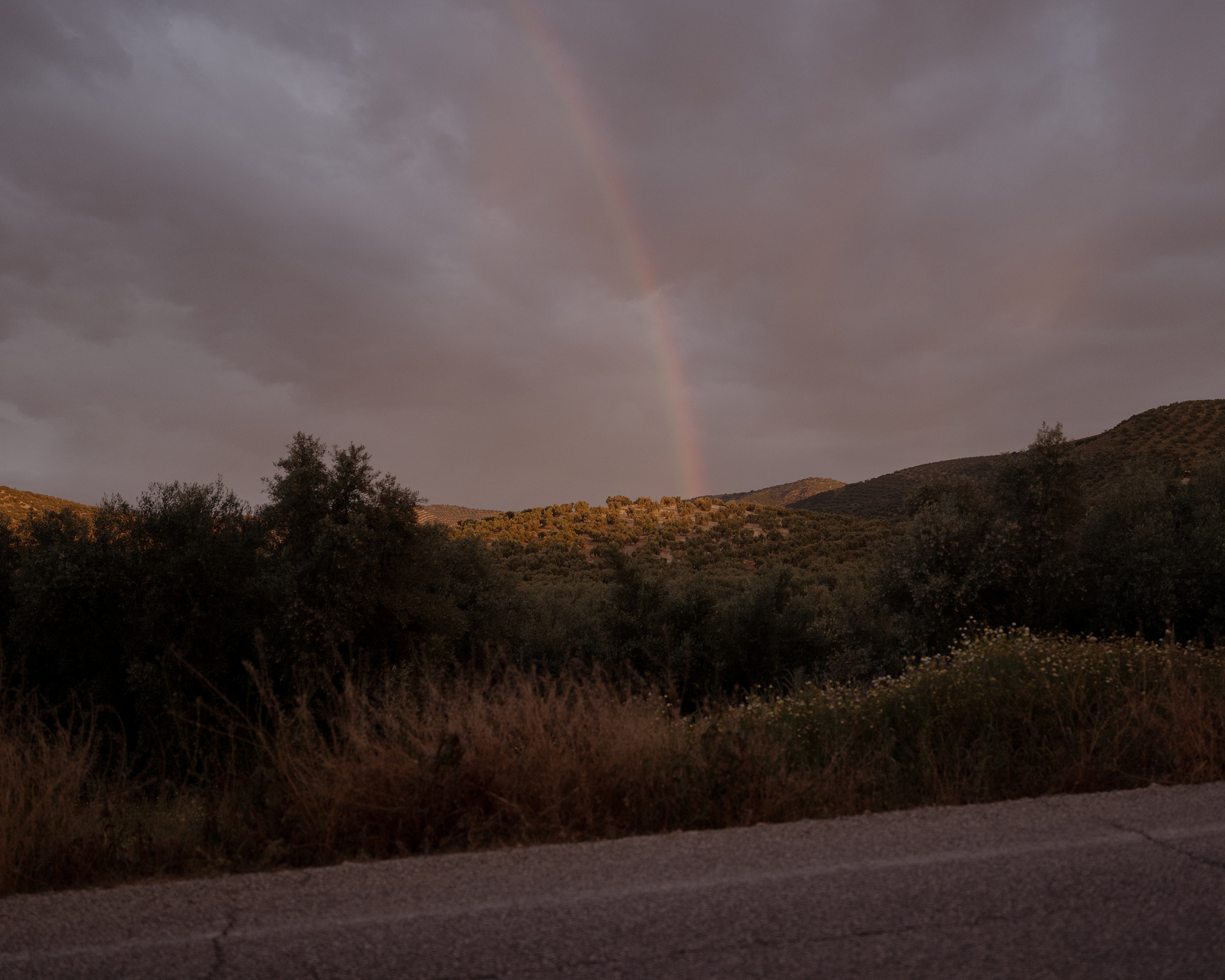 After the Rain (Rainbow)