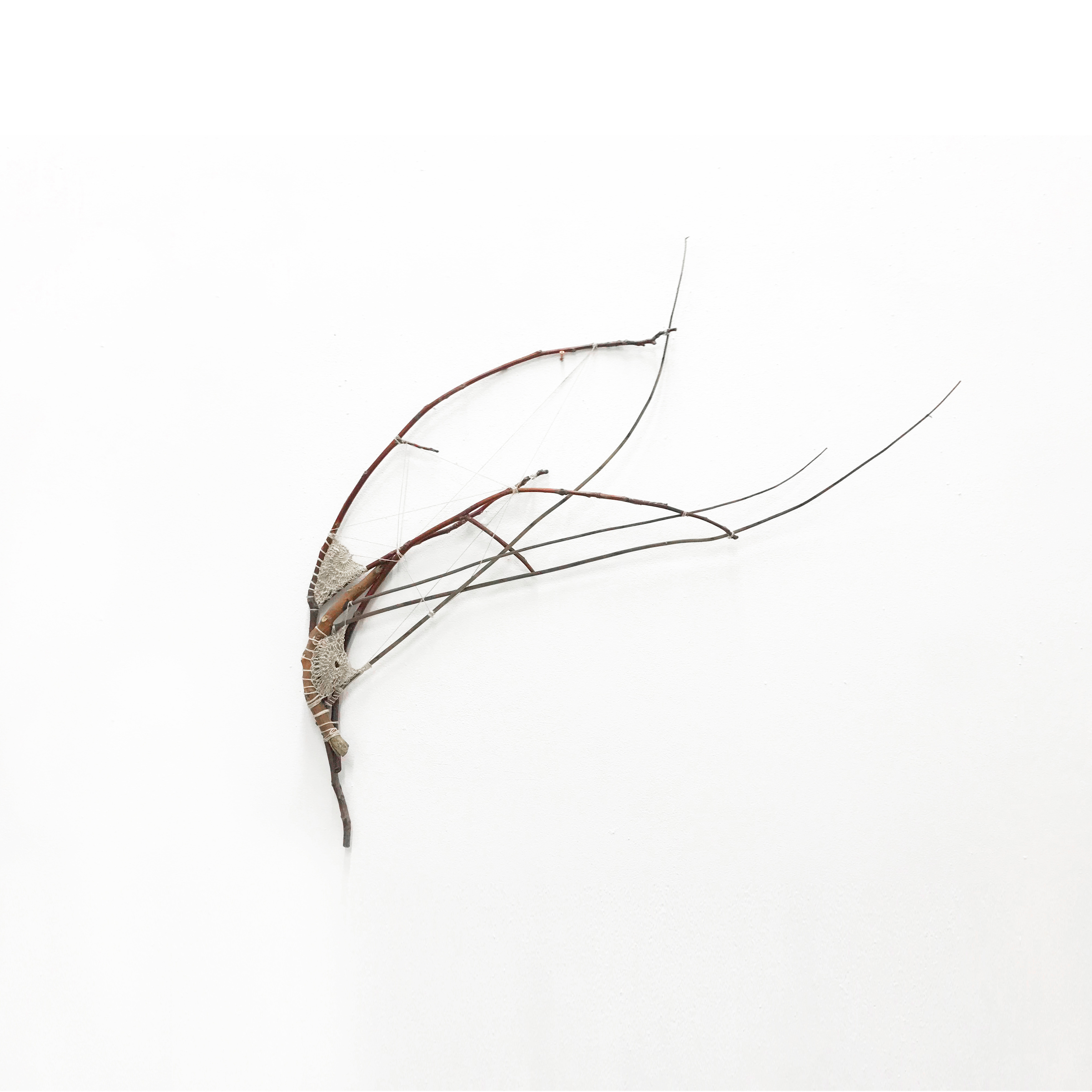 2021/Untitled/Branch-Rope