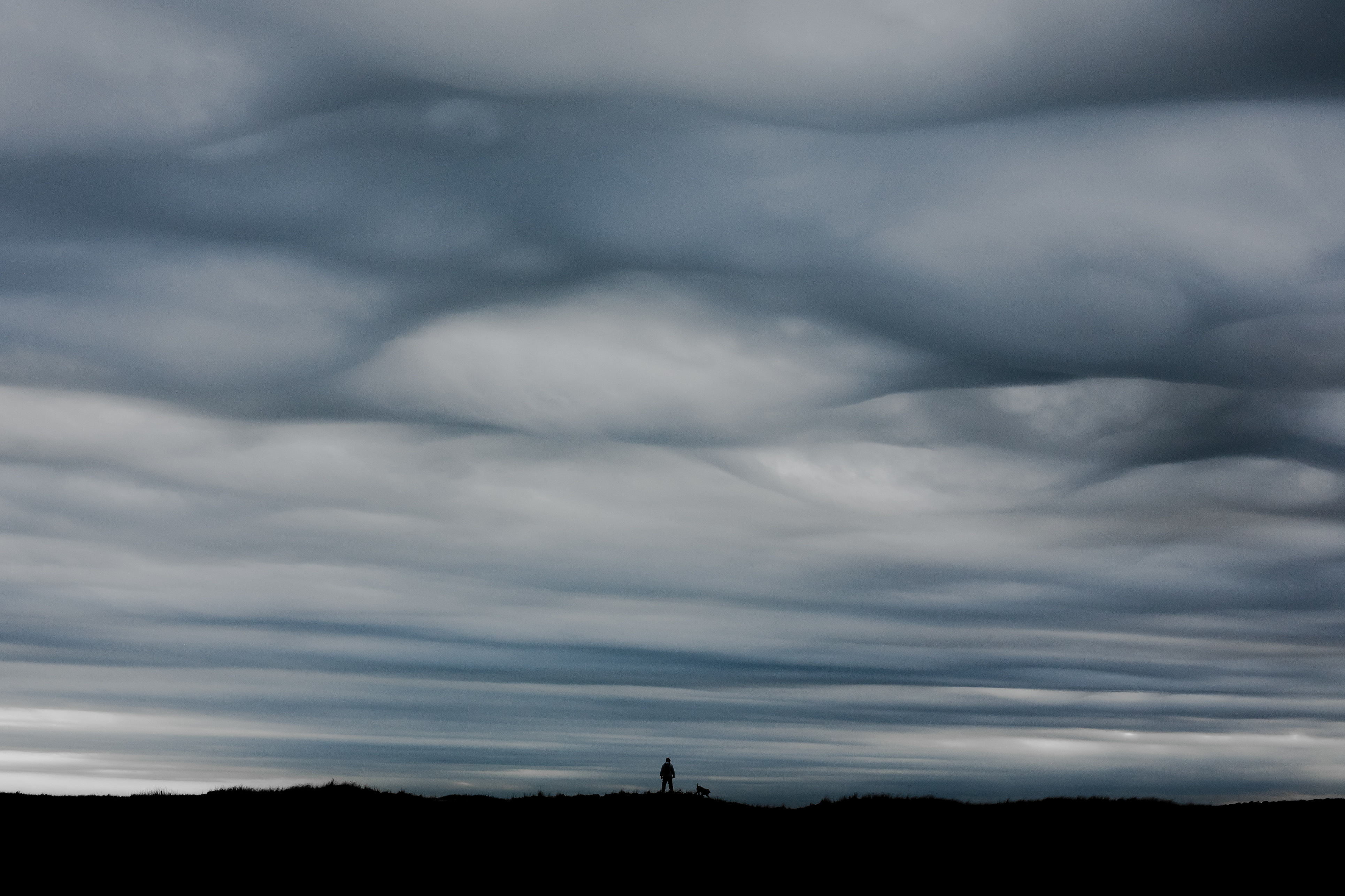 Spring. Chatham, Massachusetts 2022