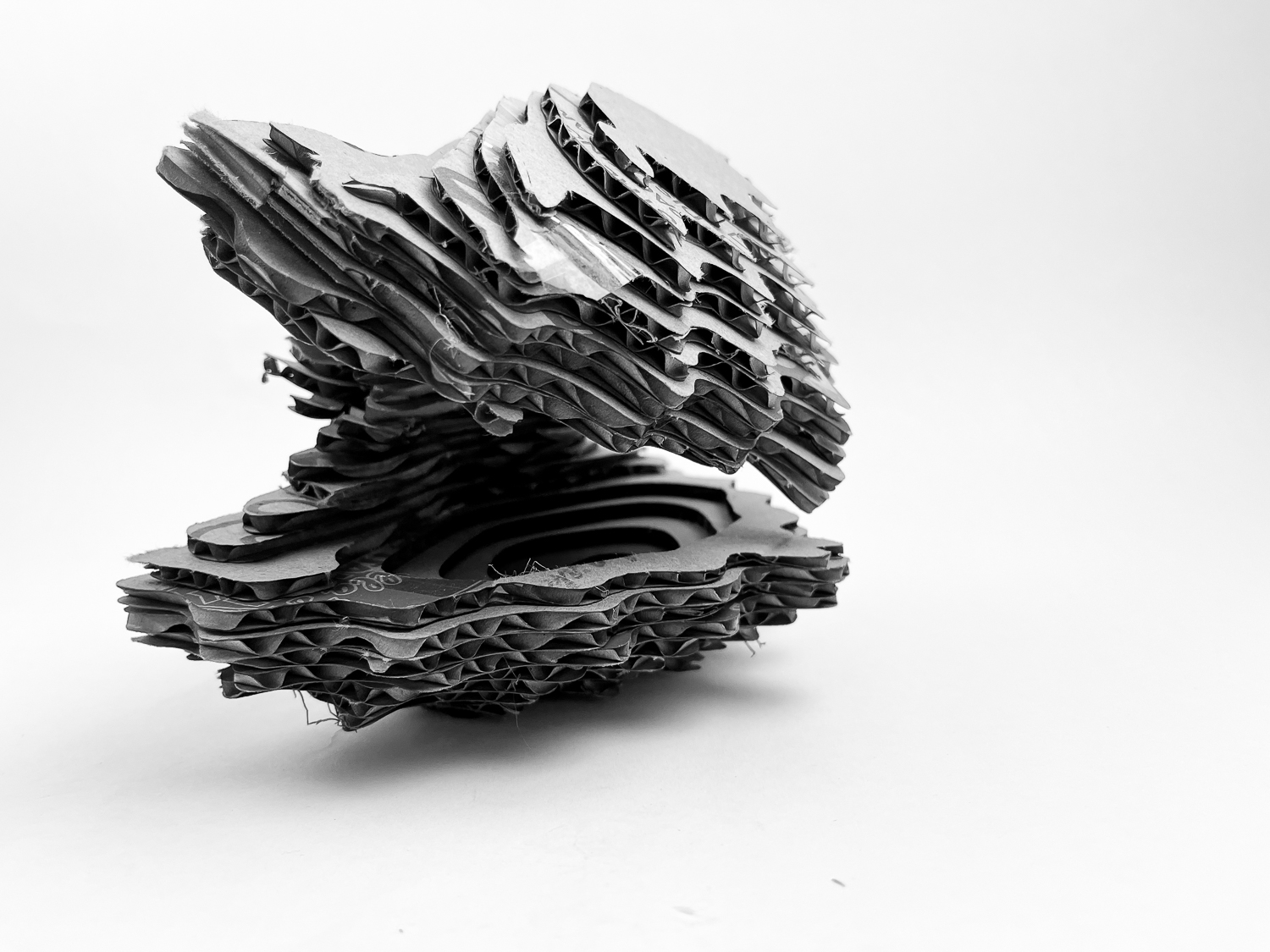 Laser Cut Clam Form
