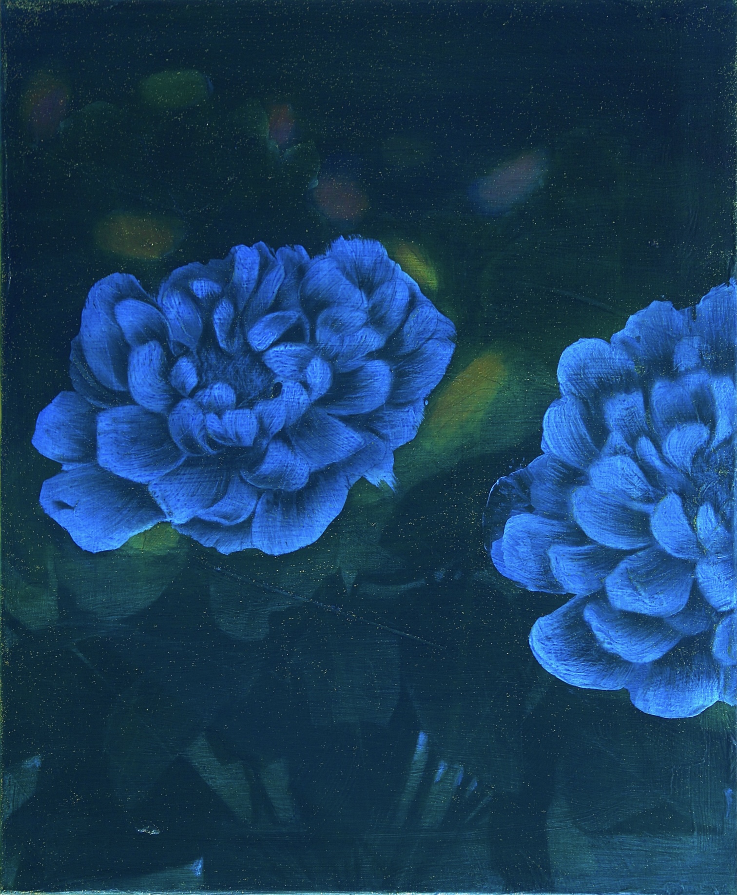 Untitled, 2025 (50x60cm).