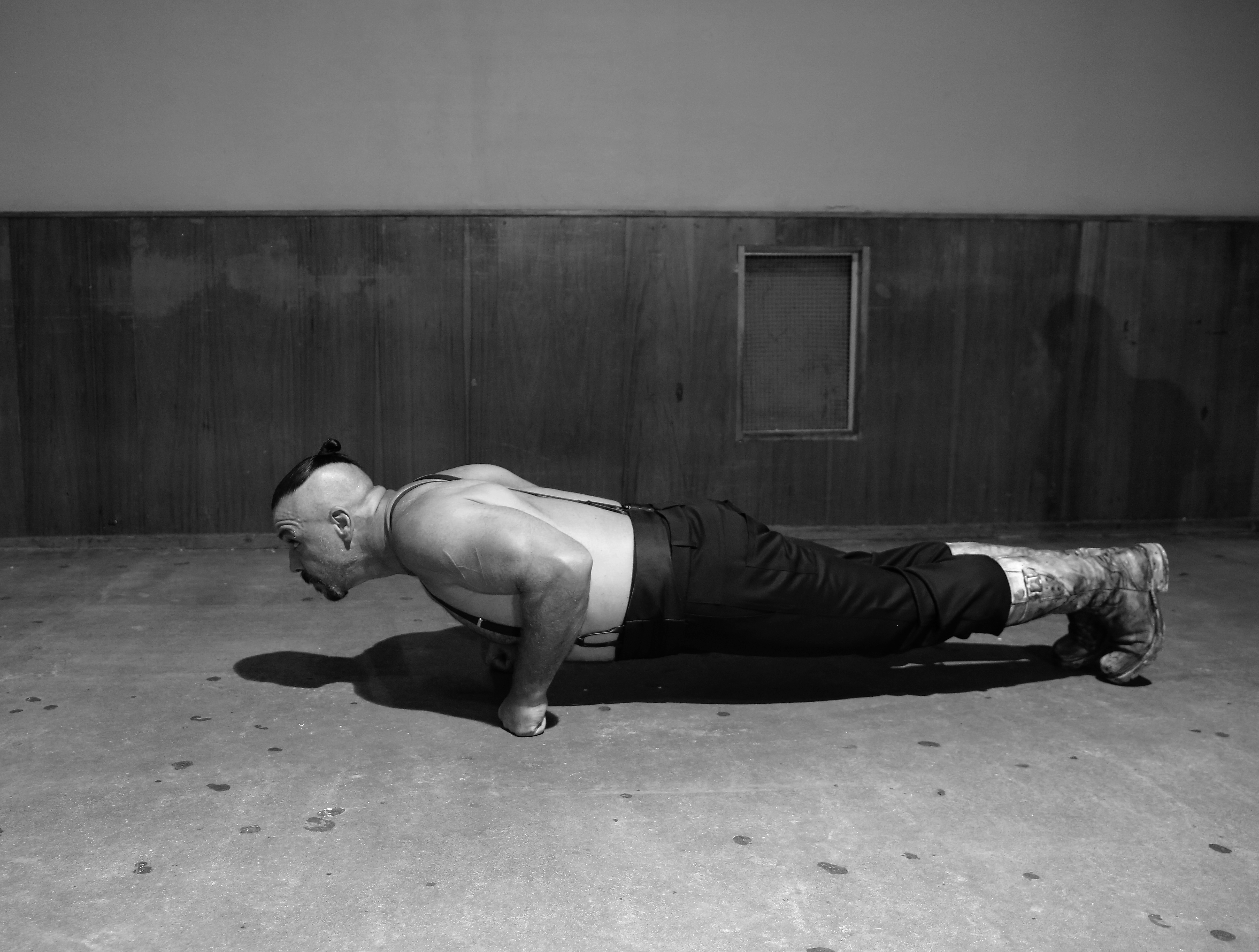 Till Lindemann, artist