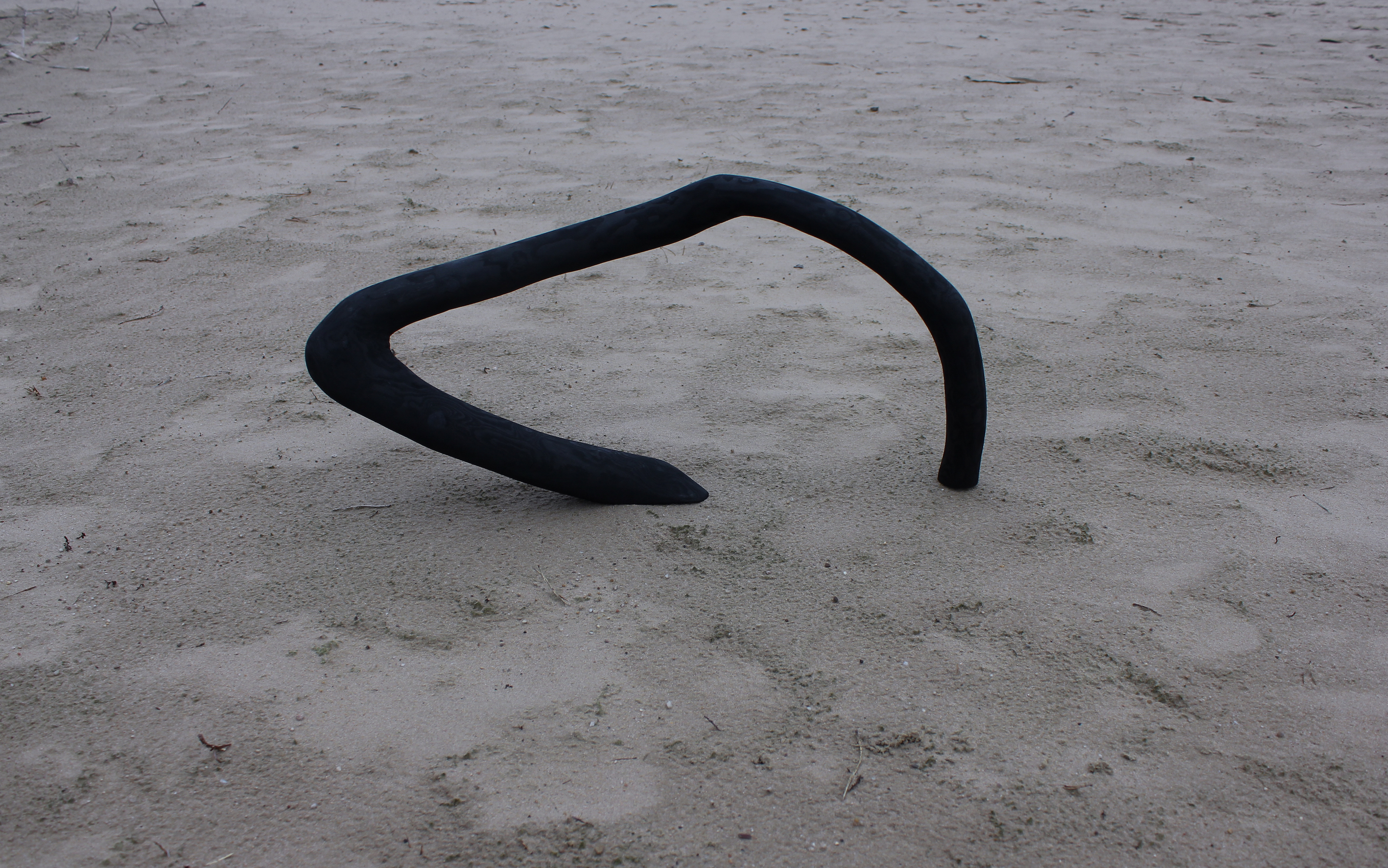 skeletons, wood and oil -charcoal, 2021