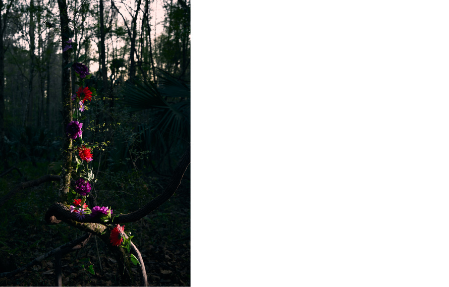 Ikebana 8620, Transculturation Series, 2020. Archival pigment print on matte acid free photo paper, 35 x 24 inches.