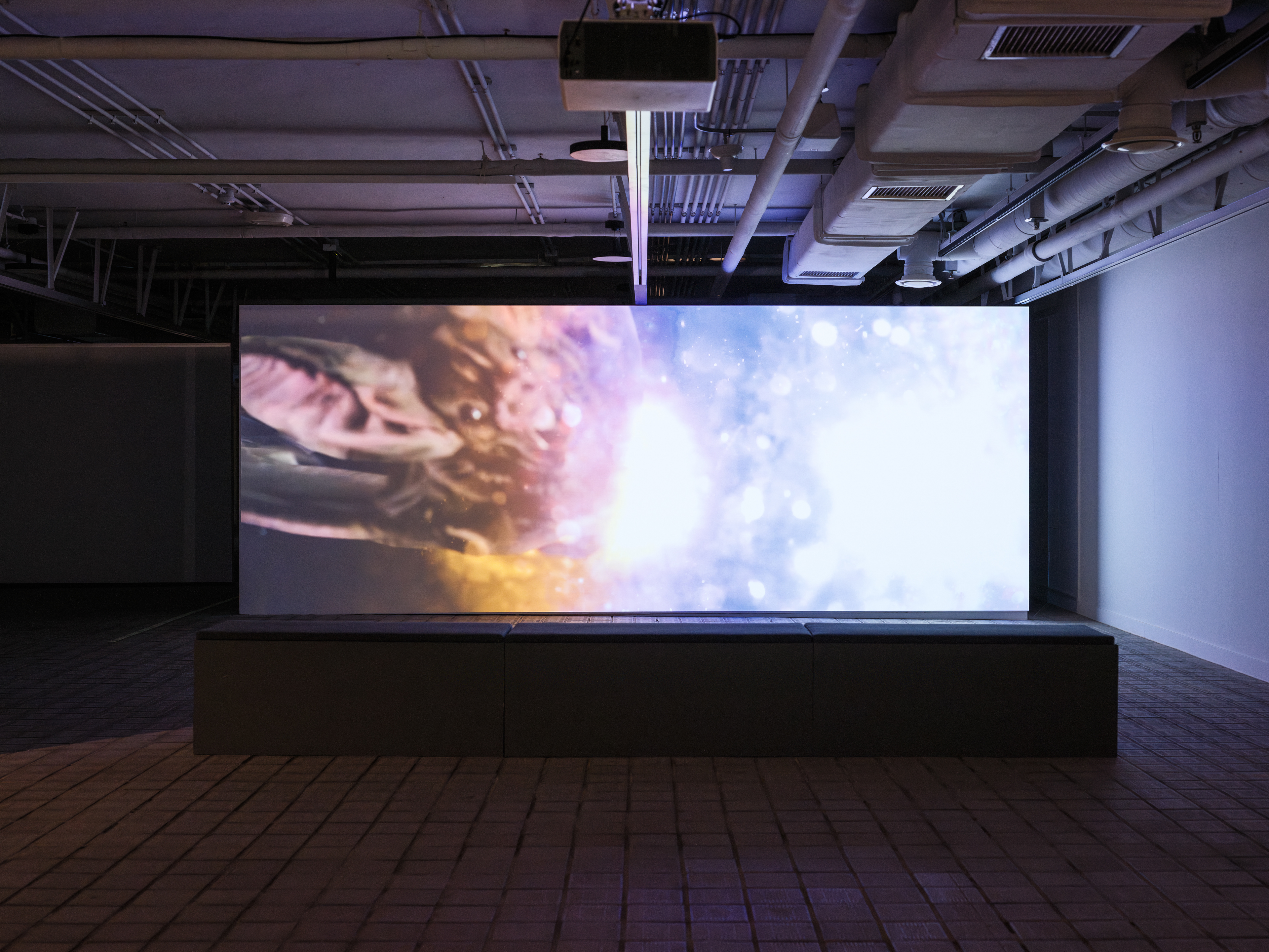 Zheng Mahler, Phase 3. 2023. Screening view of The 13th Seoul Mediacity pre-Biennale , 2024, SeMA Bunker, Seoul. Photo: GLIMWORKERS. Courtesy of Seoul Museum of Art