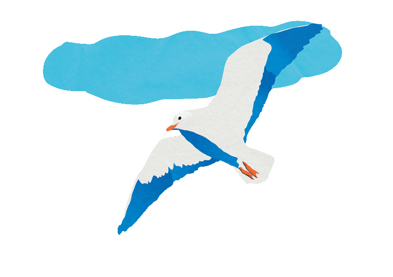 Baltic Sea Illustration Project