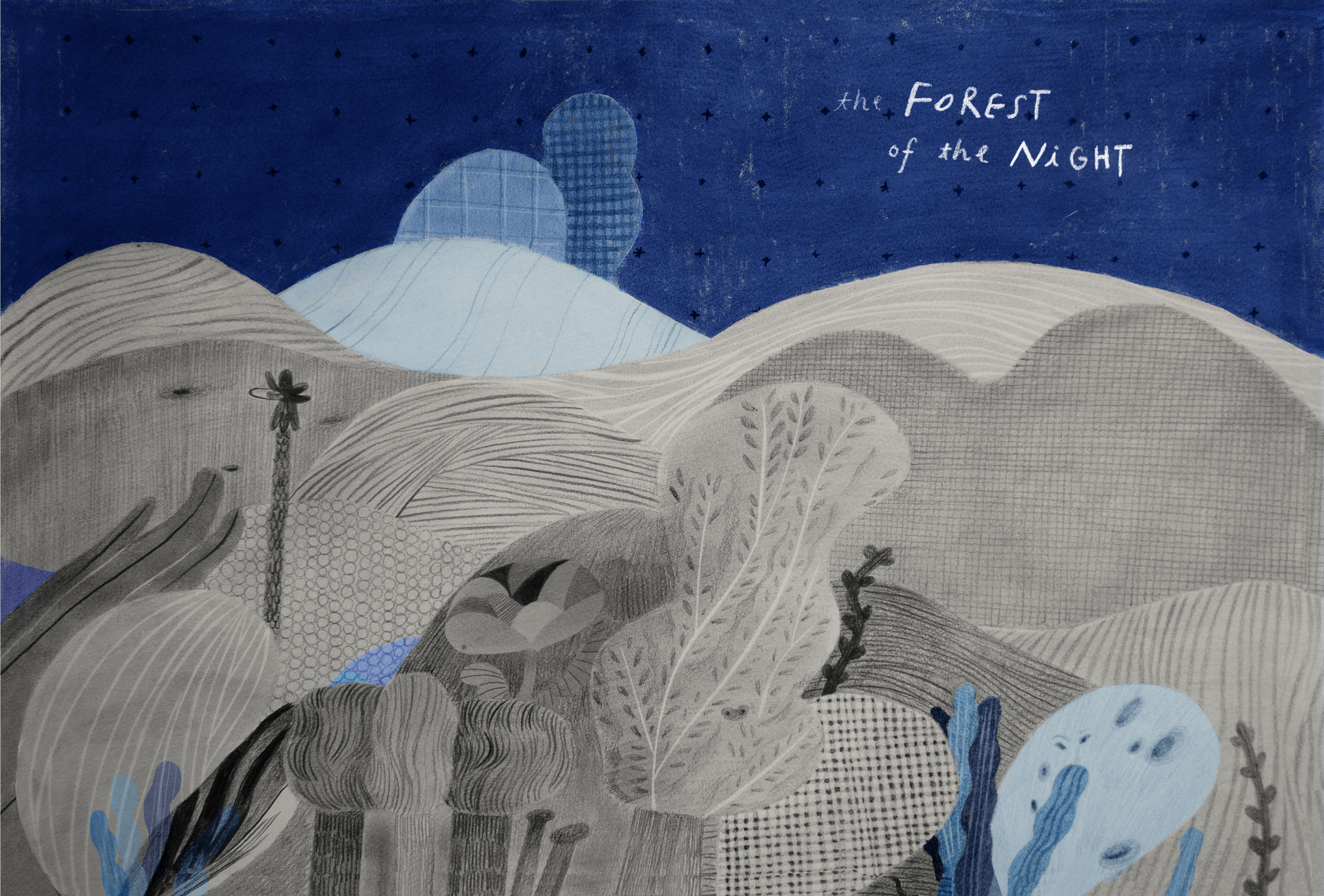 New Book Release 밤의 숲에서 The Forest Of The Night Myo Illustrations