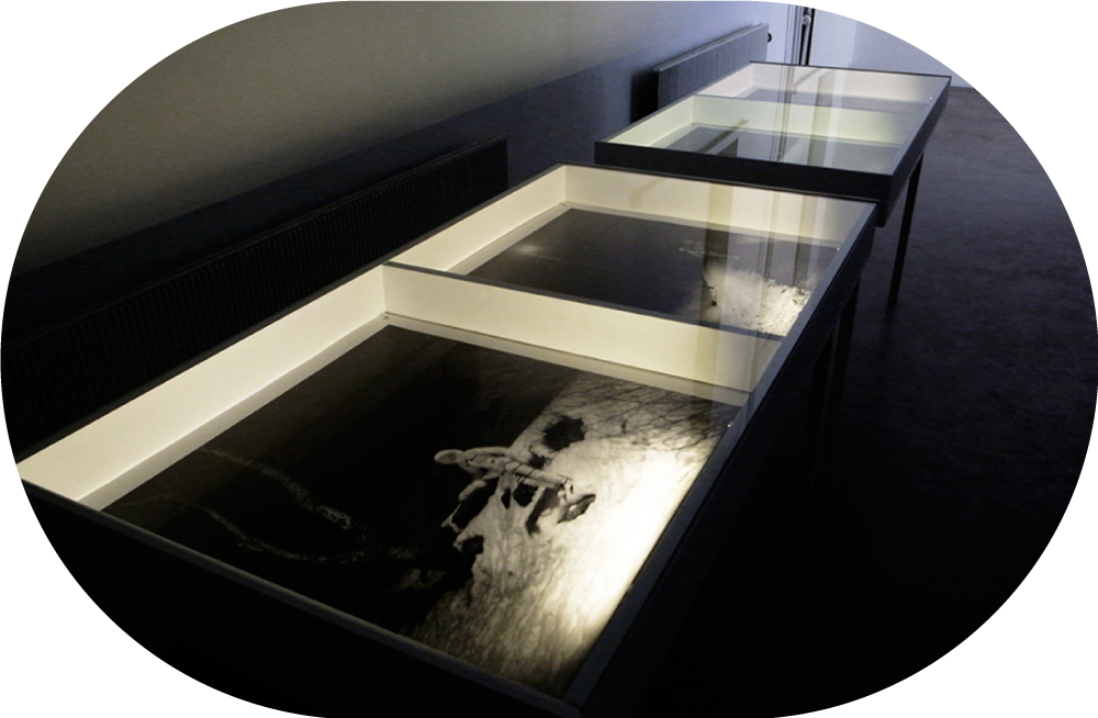 Colonizing futures, 2010