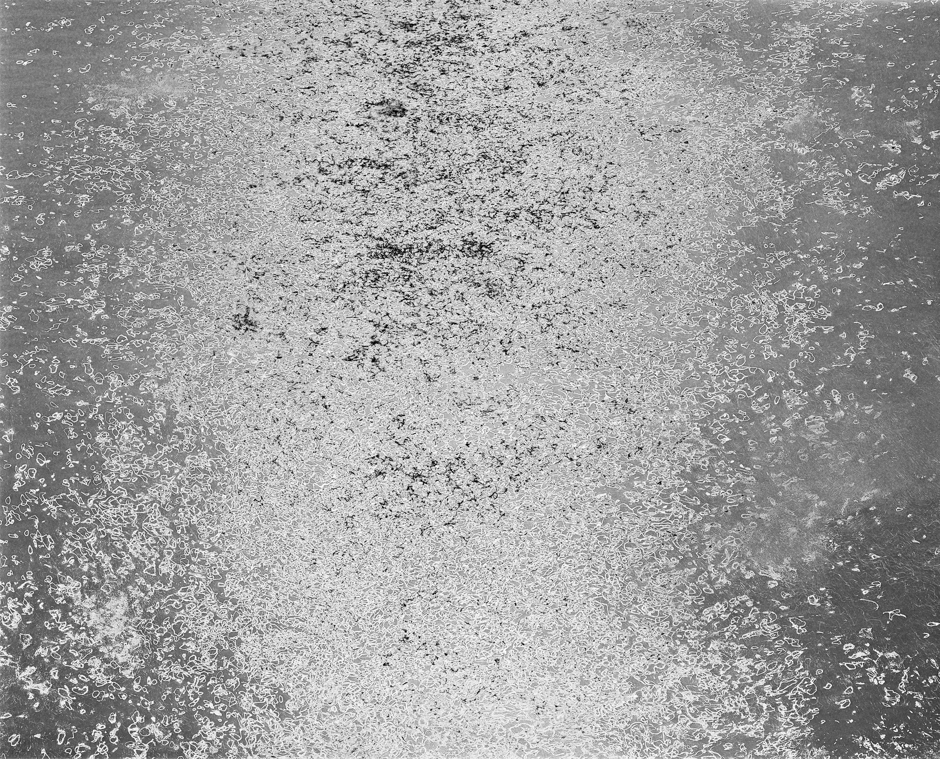 VVVVVVVVVVVVVVVVVVVVVVVVVVVVVVV (0619O1F8), 2021