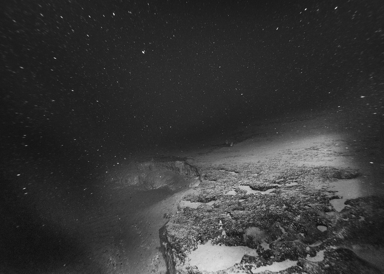 © Nicolas FLOC'HPaysages productifs, Initium Maris, Deep Sea, -864 m, neige marine, coraux isolés sur un replat rocheux, 2021courtesy Galerie Maubert