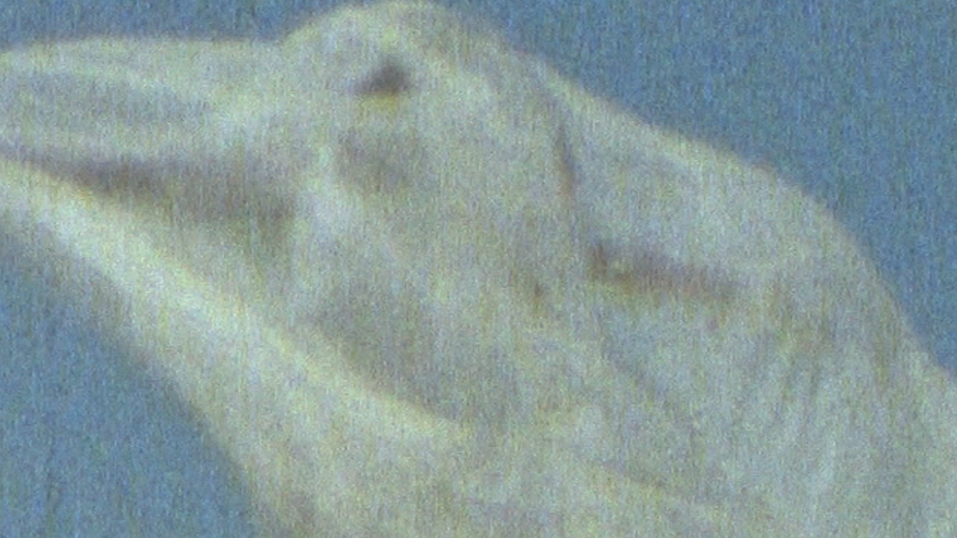 REBIRTH AT DUSK, music film for Jordan Reyes (2020)