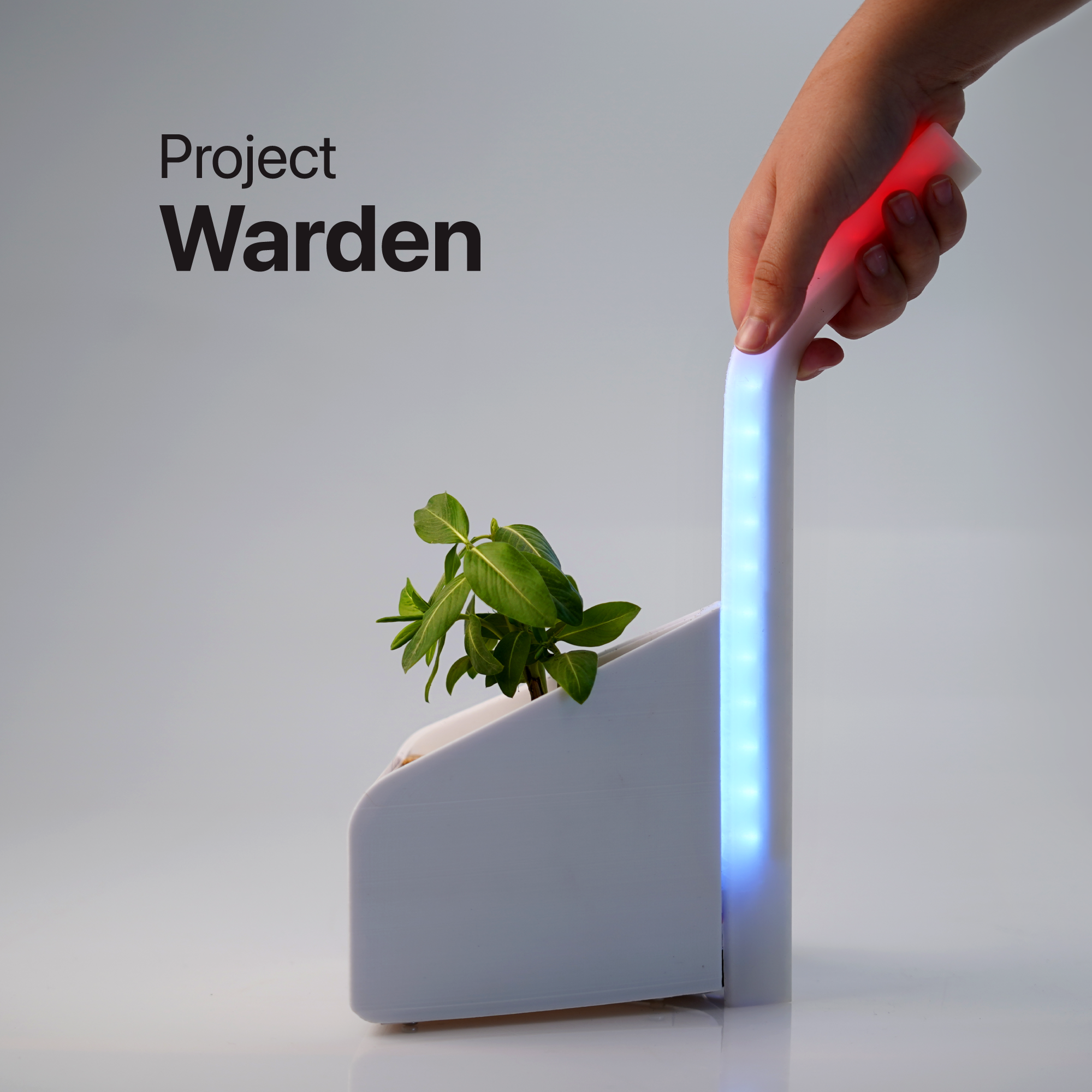 Project Warden