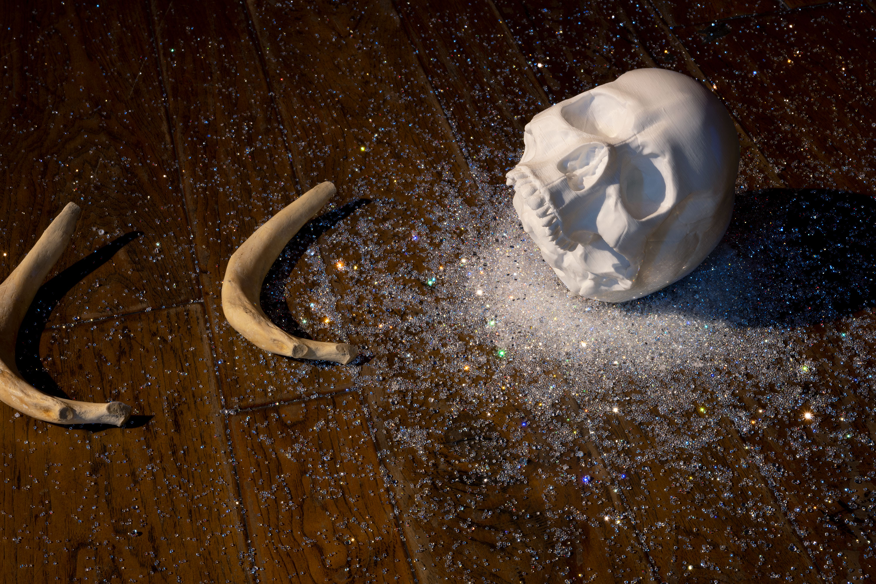 Orlando Estrada, Mermaid Ivory, (detail) 2021, 3-D printed PLA filament, bone, Swarovski crystals, Dimensions Variable. Two curved bones have been placed to the left of a white skull that is resting upon a bed of concentrated white crystals; additional crystals are dispersed around the wooden floor space.