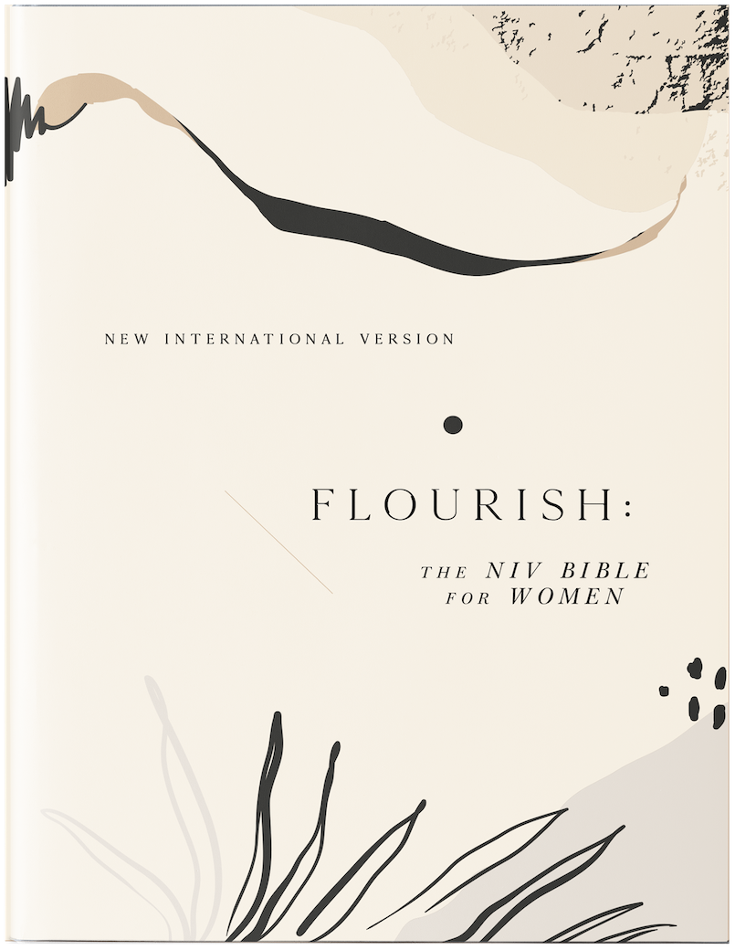 Art Direction: Rob Jelsema