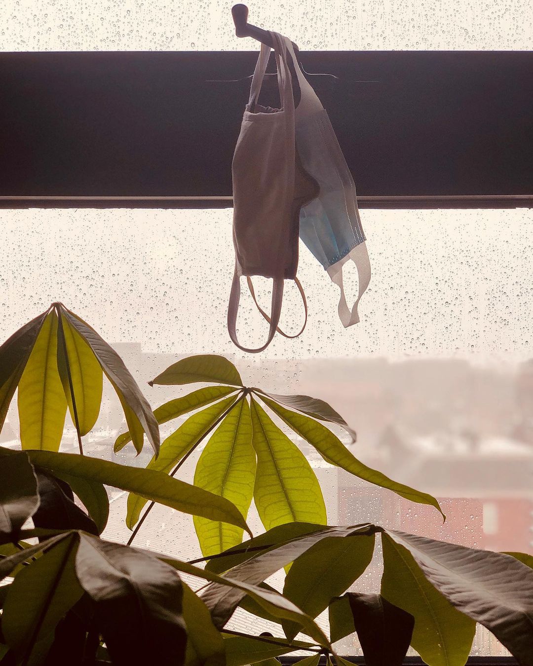 7 months into the pandemic. How many face masks have you gone through? / September 10, 2020 / Photo: Nini Jin @ninister_jin_njuice