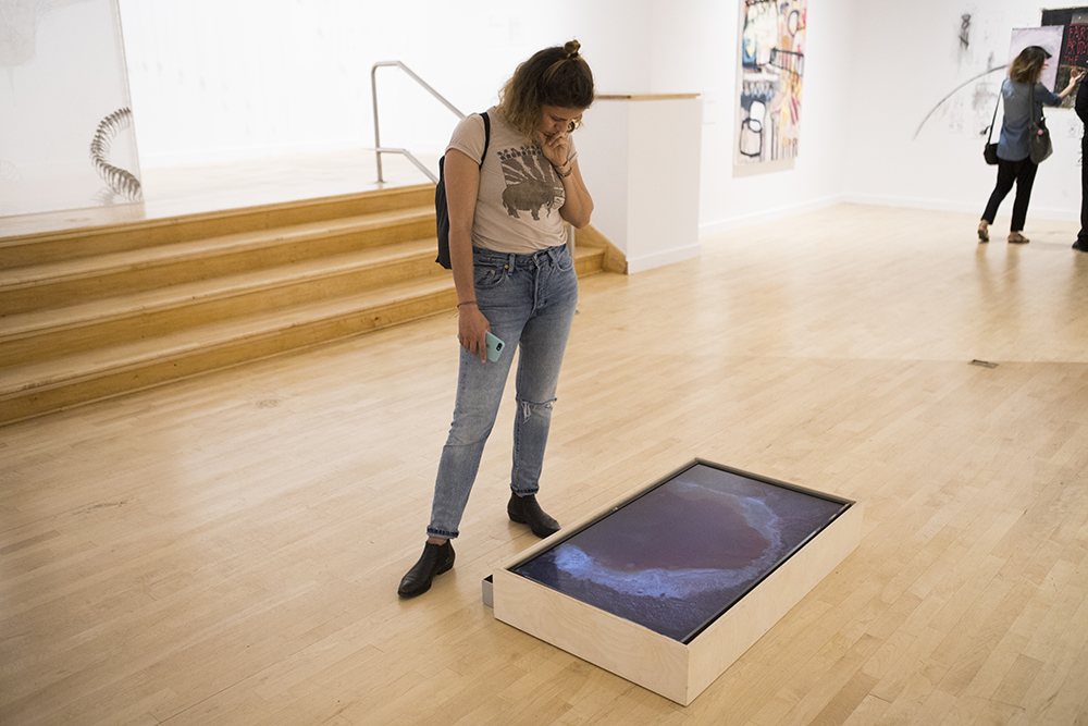 Bronx Museum of Art Biennial 